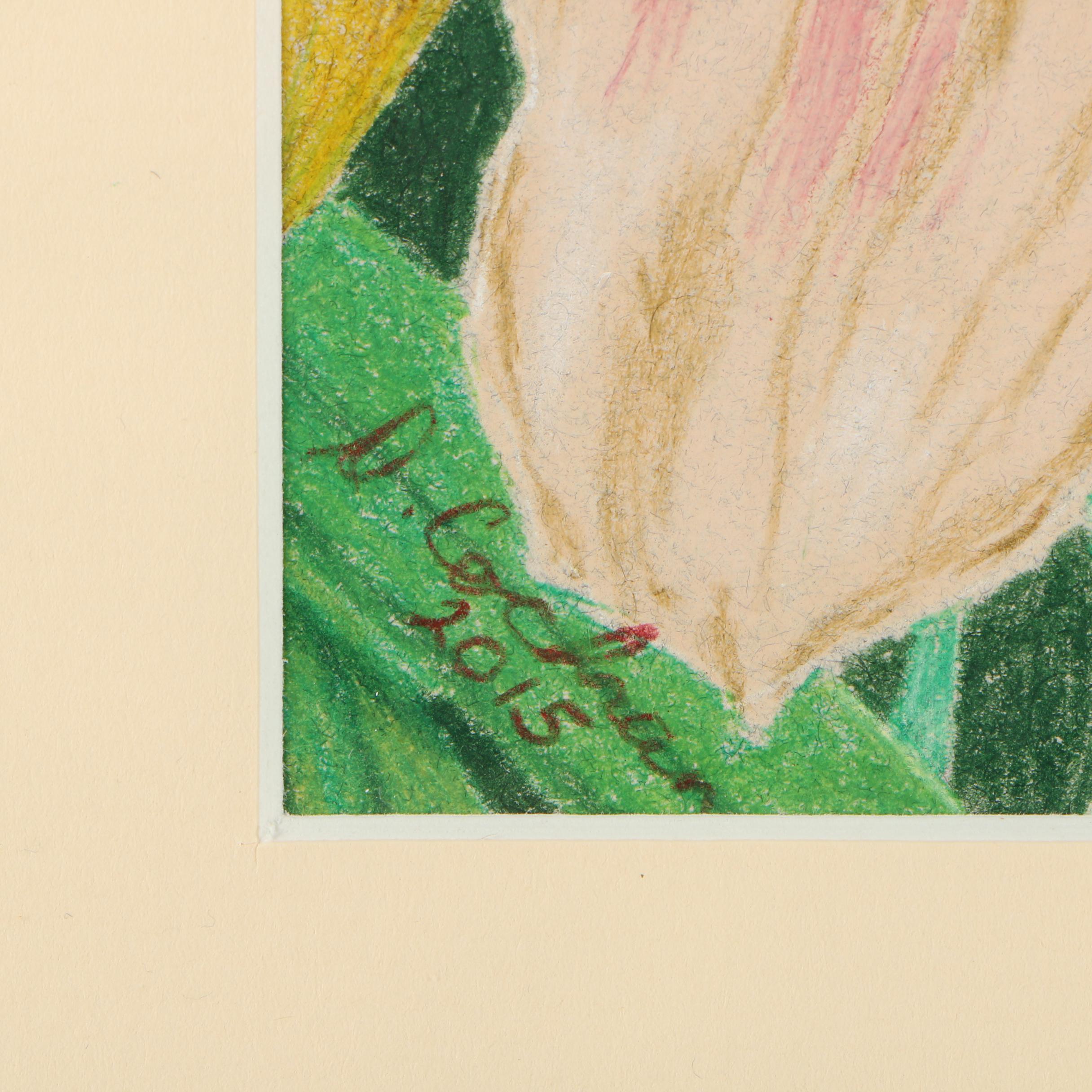 David Cochran Colored Pencil Drawings "Rudbeckia Hirta" and "Stephanie Returns"