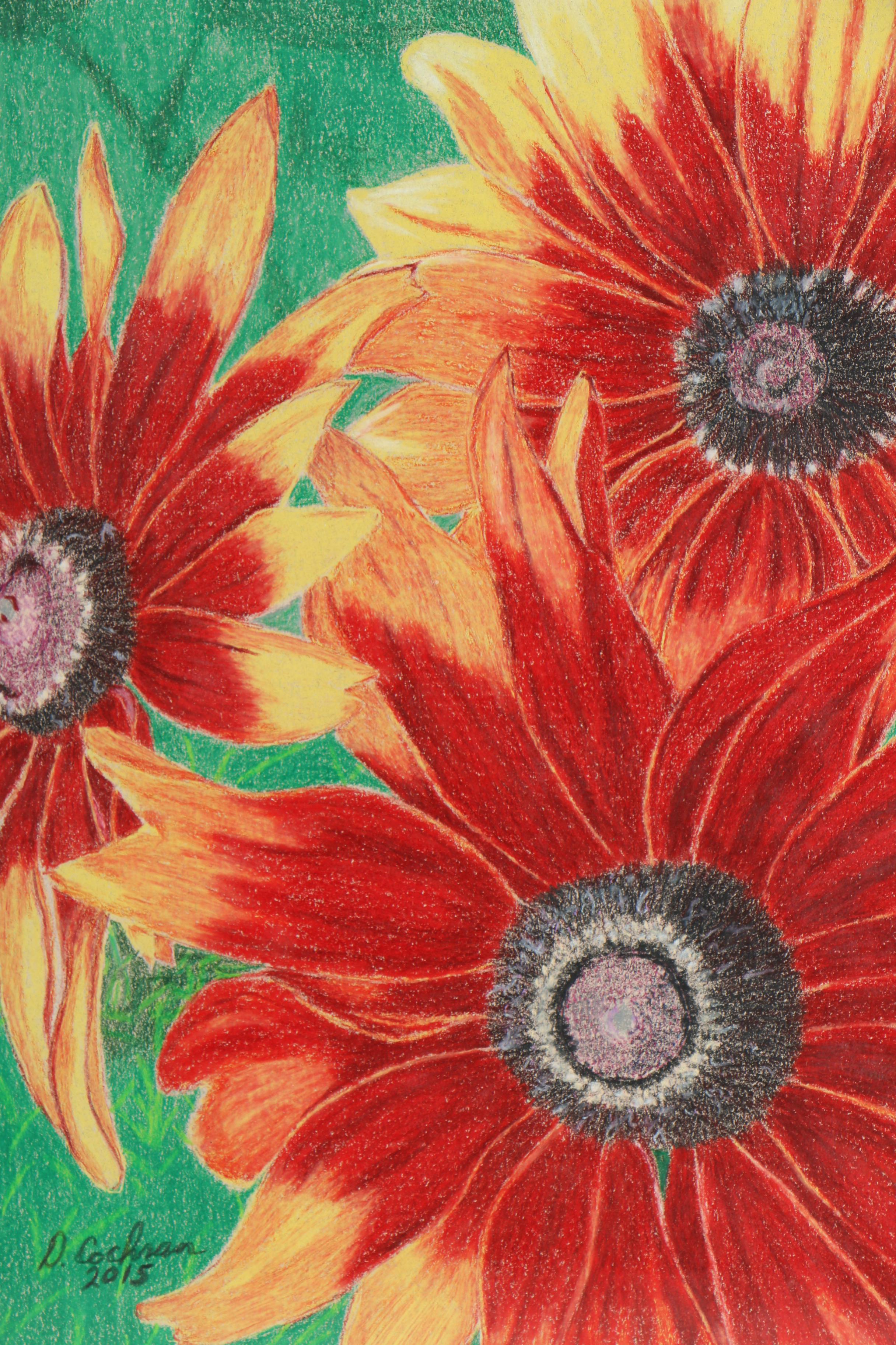 David Cochran Colored Pencil Drawings "Rudbeckia Hirta" and "Stephanie Returns"