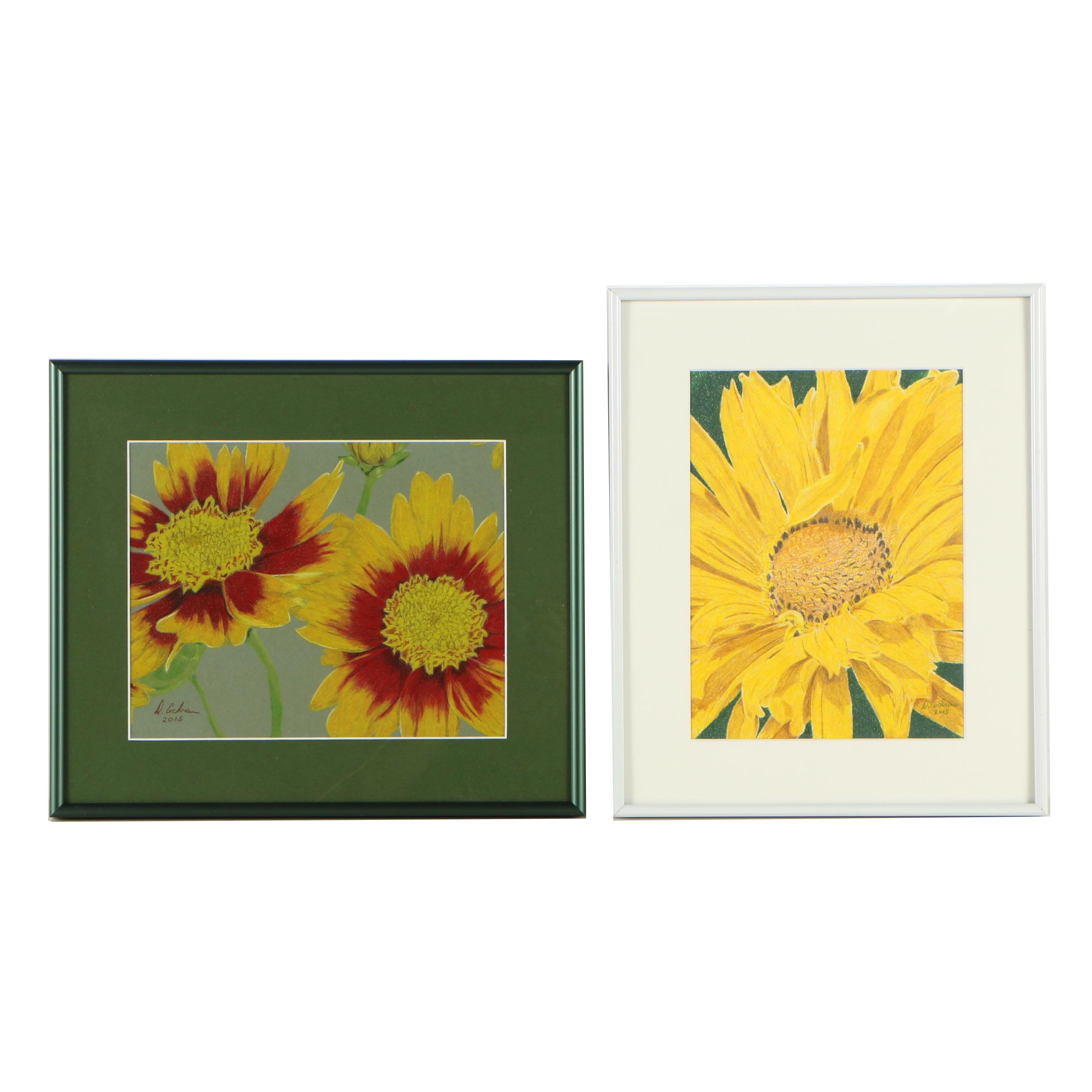 David Cochran Colored Pencil Drawings