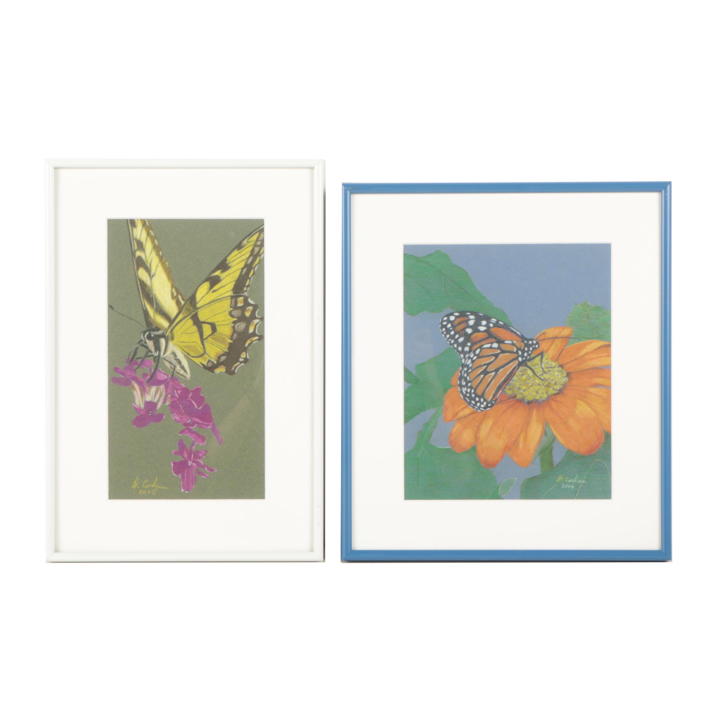 David Cochran 2014 and 2015 Colored Pencil Drawings