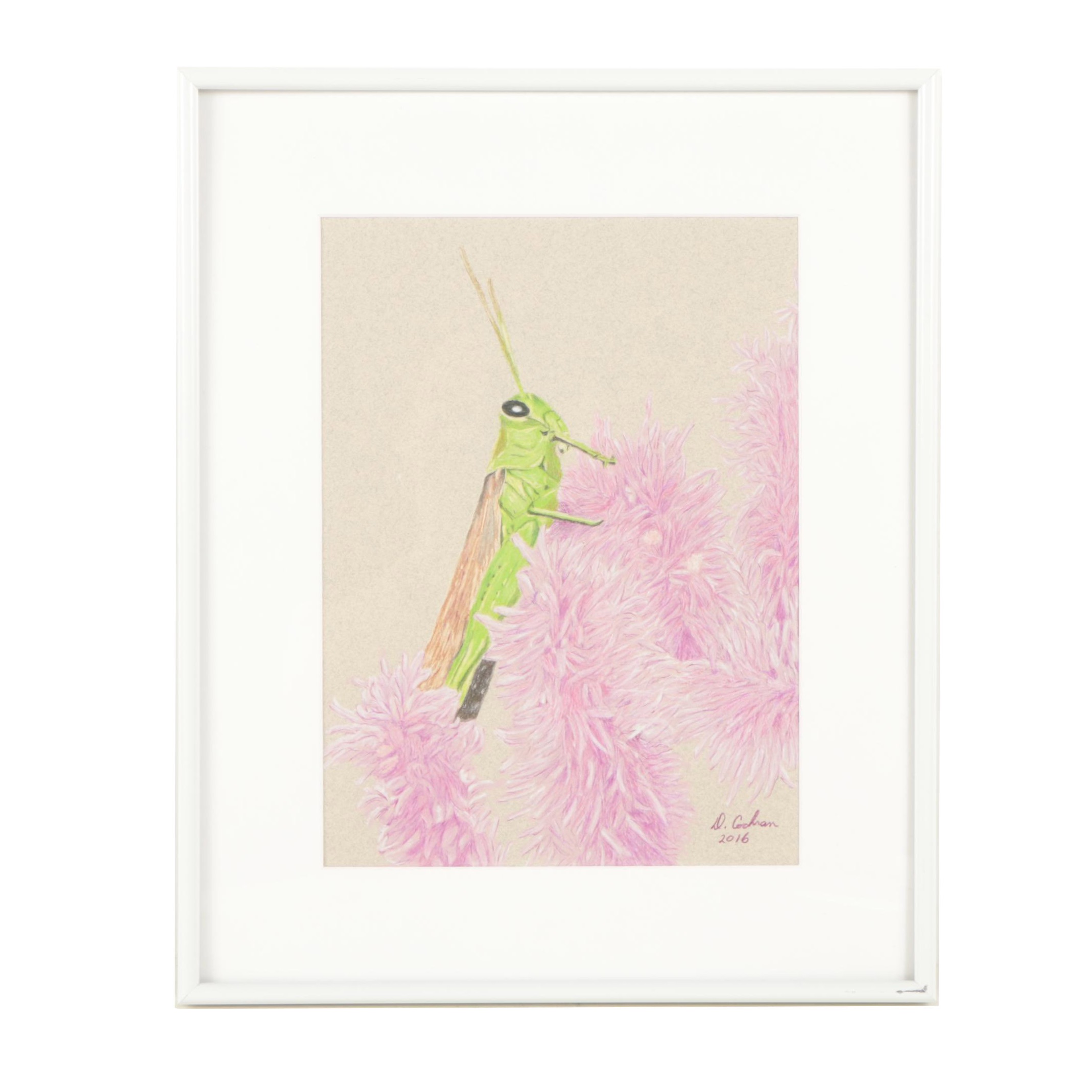 David Cochran Colored Pencil Drawing "Hopper"