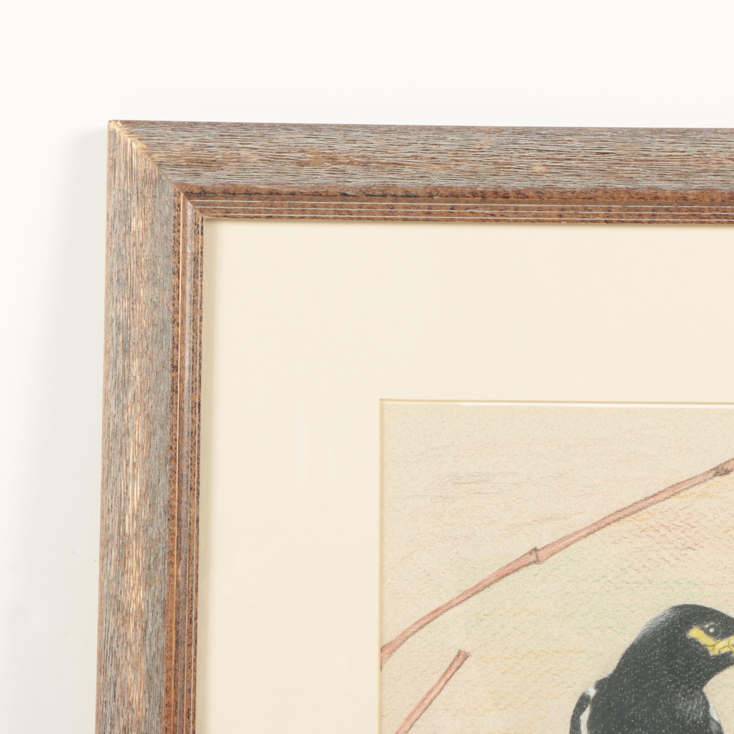 David Cochran Colored Pencil Drawing