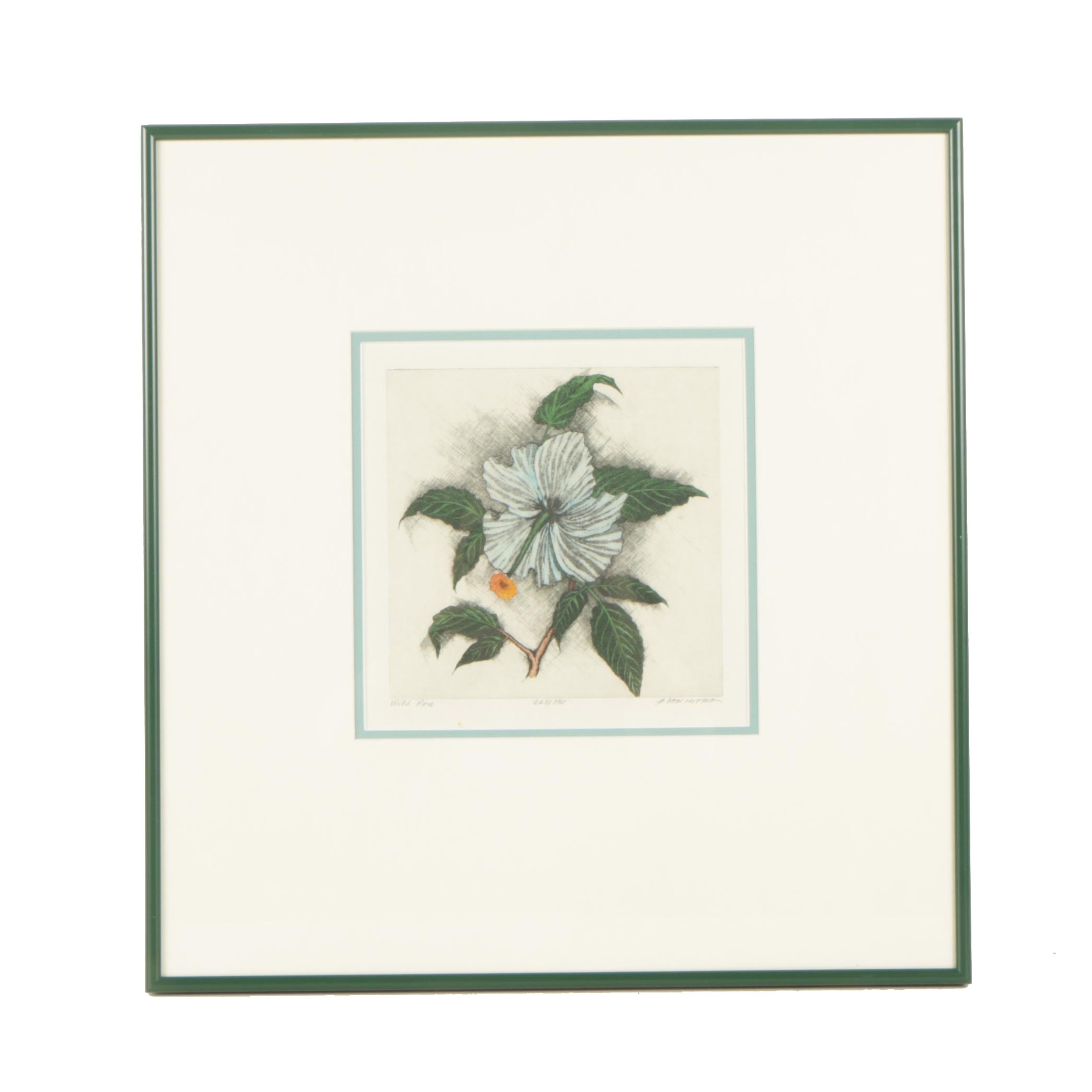 Dan Mitra Etching with Aquatint "Wild Rose"