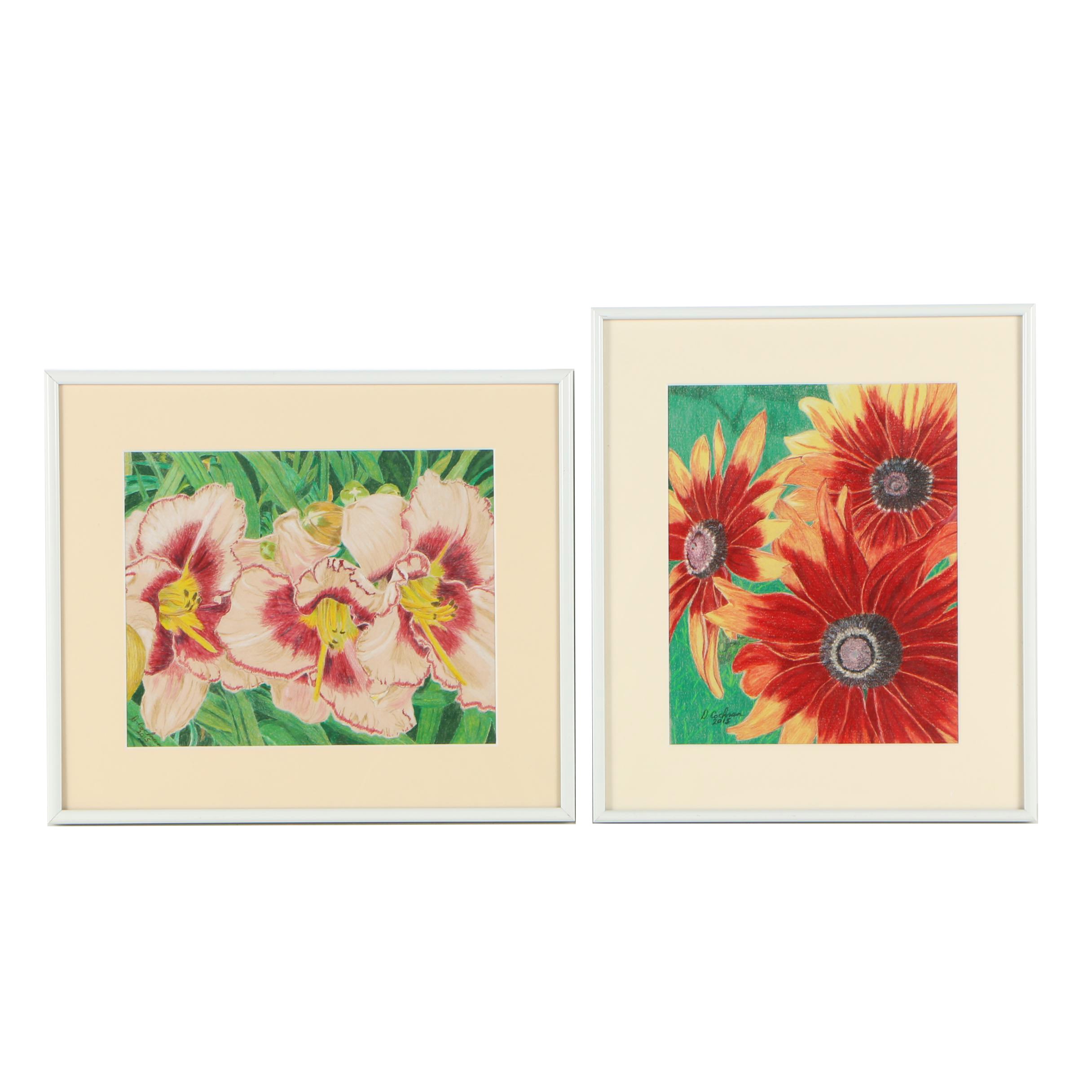 David Cochran Colored Pencil Drawings "Rudbeckia Hirta" and "Stephanie Returns"