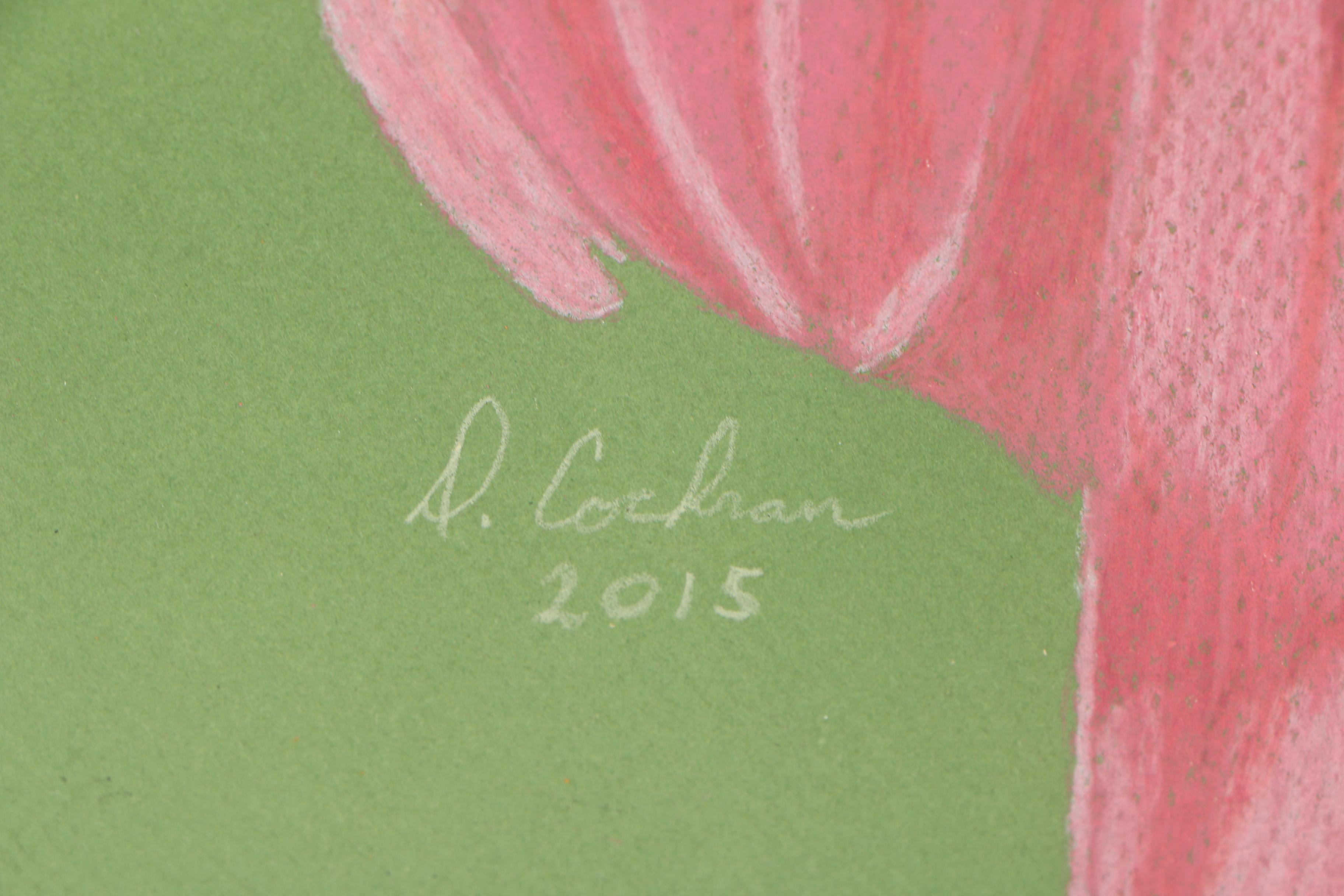 David Cochran Colored Pencil Drawing "Moth with Echinacea"