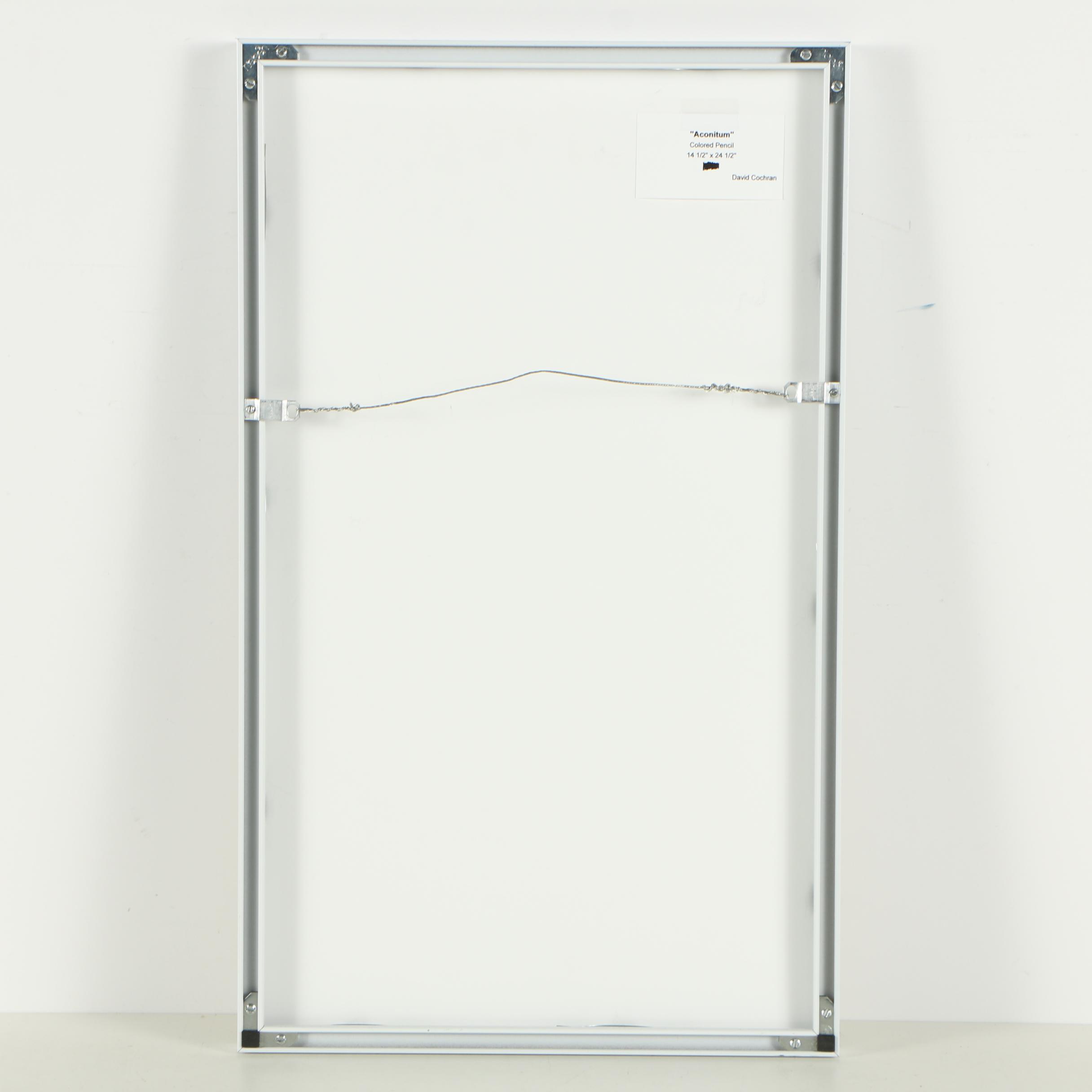 David Cochran Colored Pencil Drawing "Aconitum"