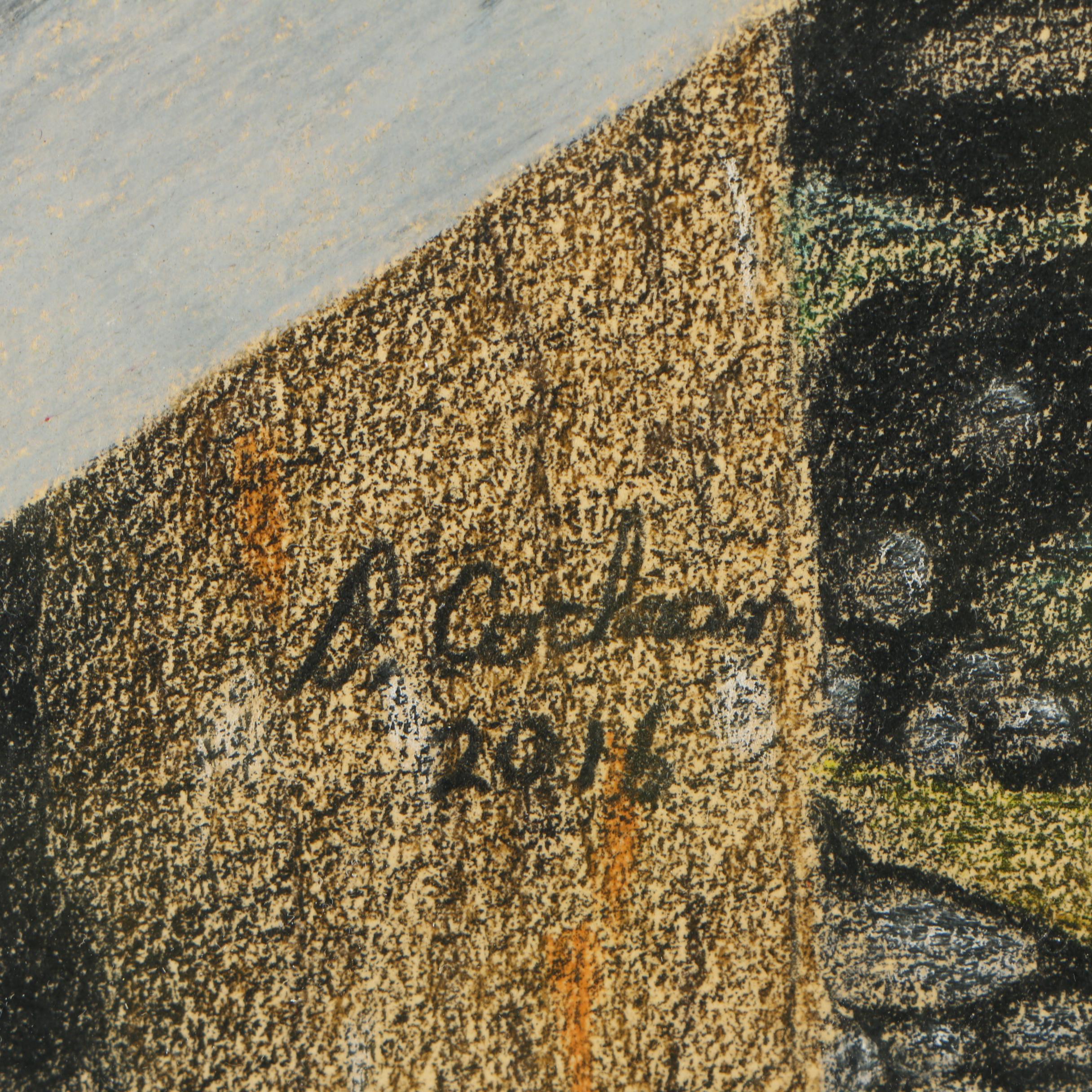 David Cochran Bird Themed Colored Pencil Drawings