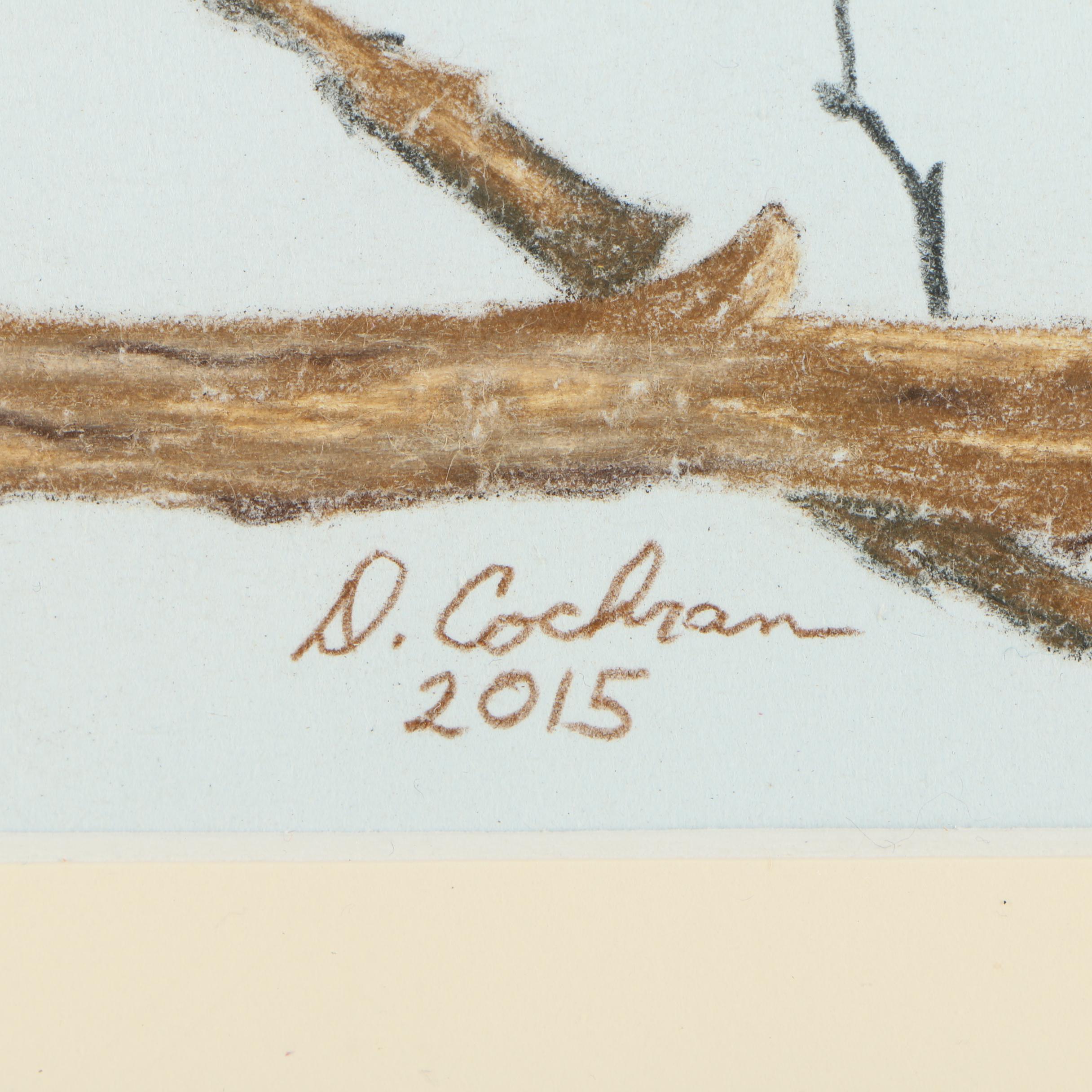 David Cochran Bird Themed Colored Pencil Drawings