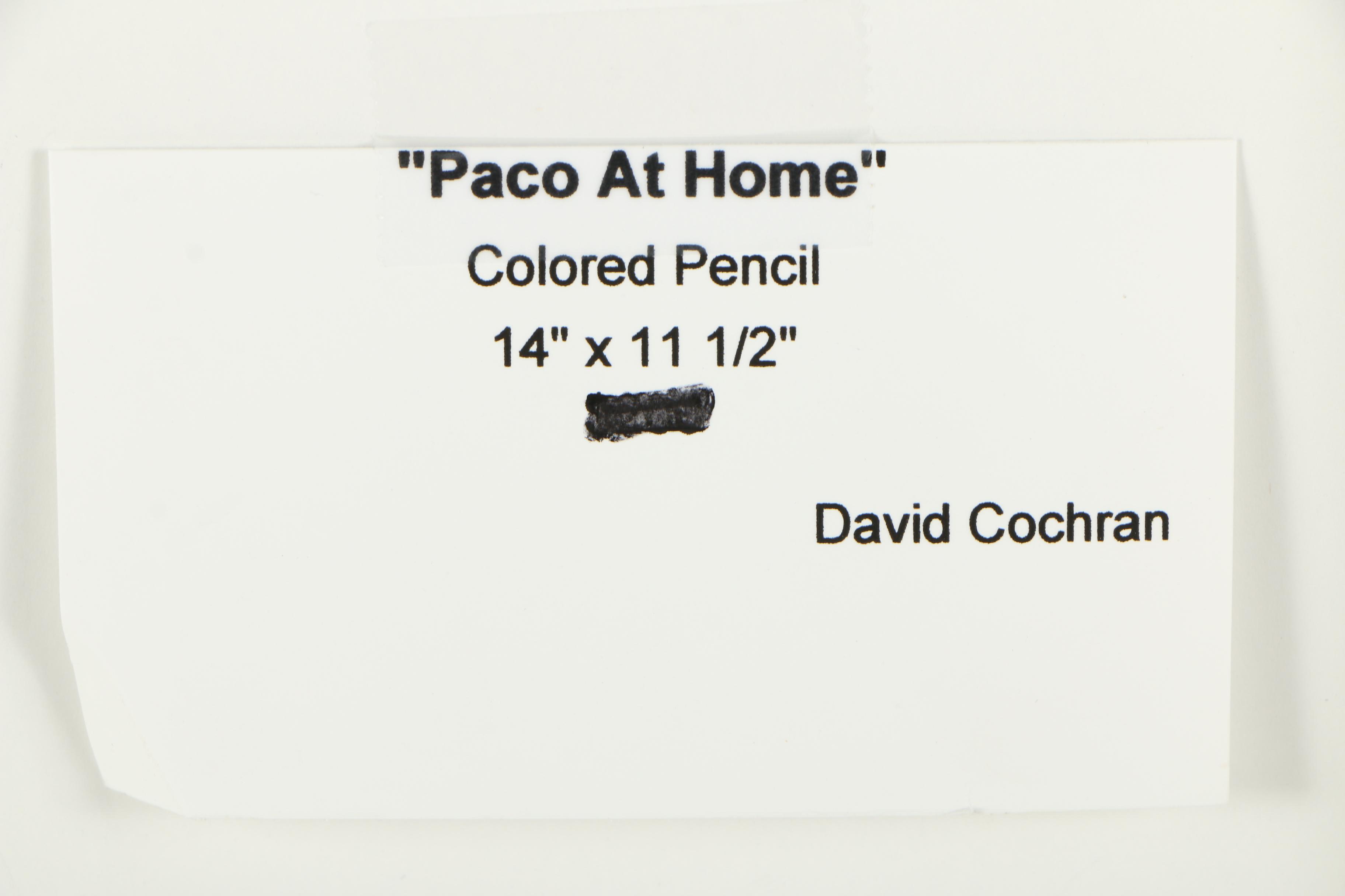 David Cochran Bird Themed Colored Pencil Drawings