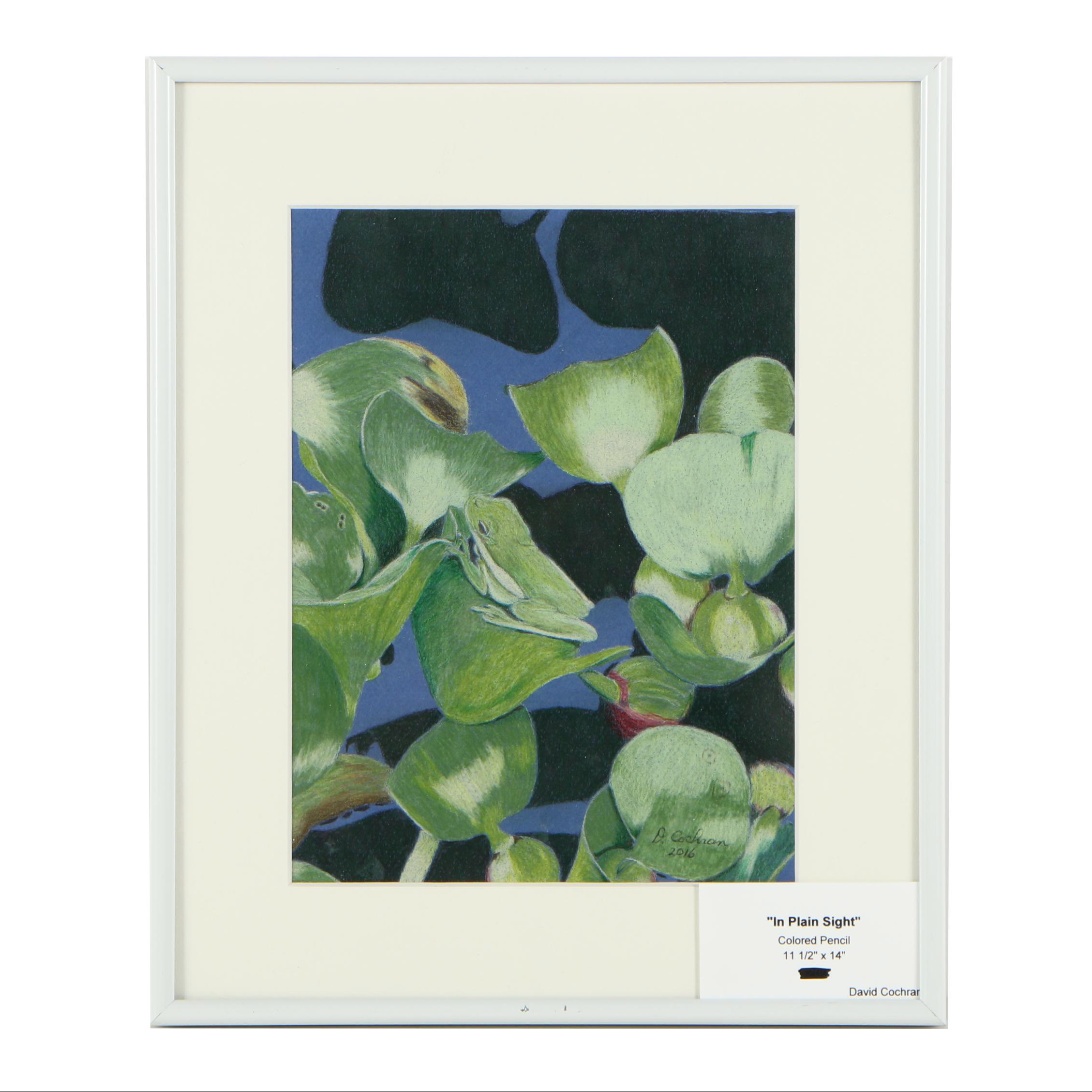 David Cochran Colored Pencil Drawing "In Plain Sight"