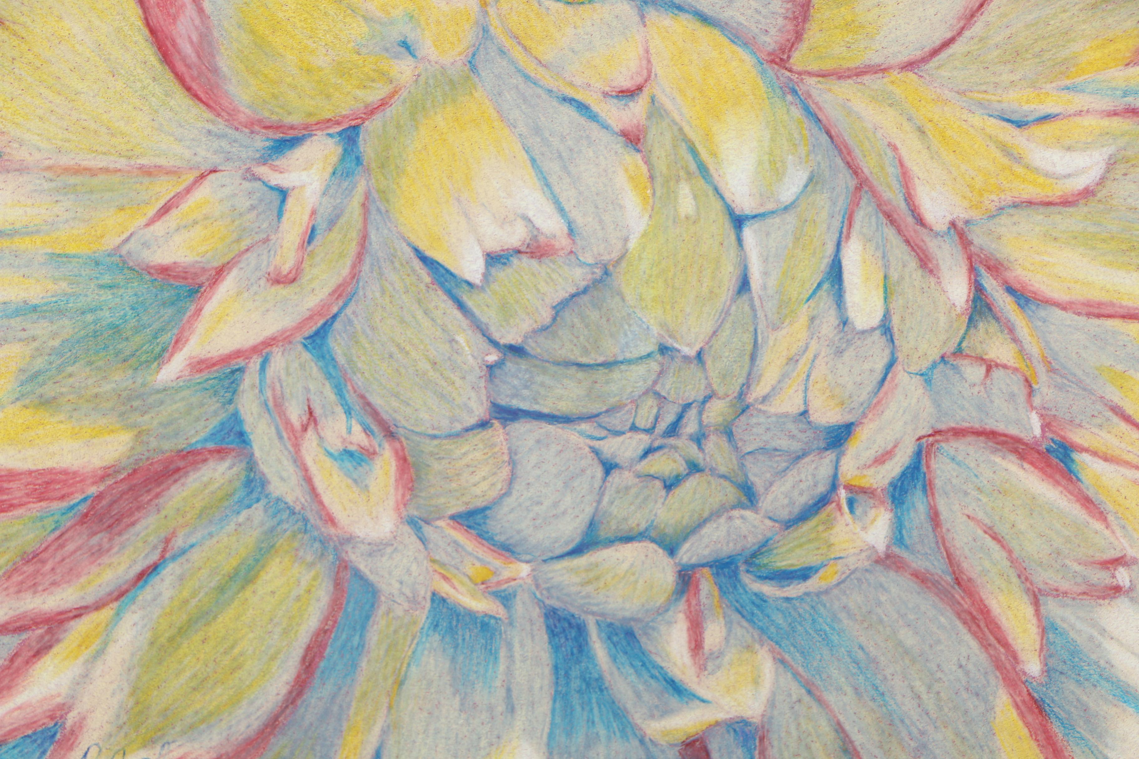 Pair of David Cochran Colored Pencil Drawings