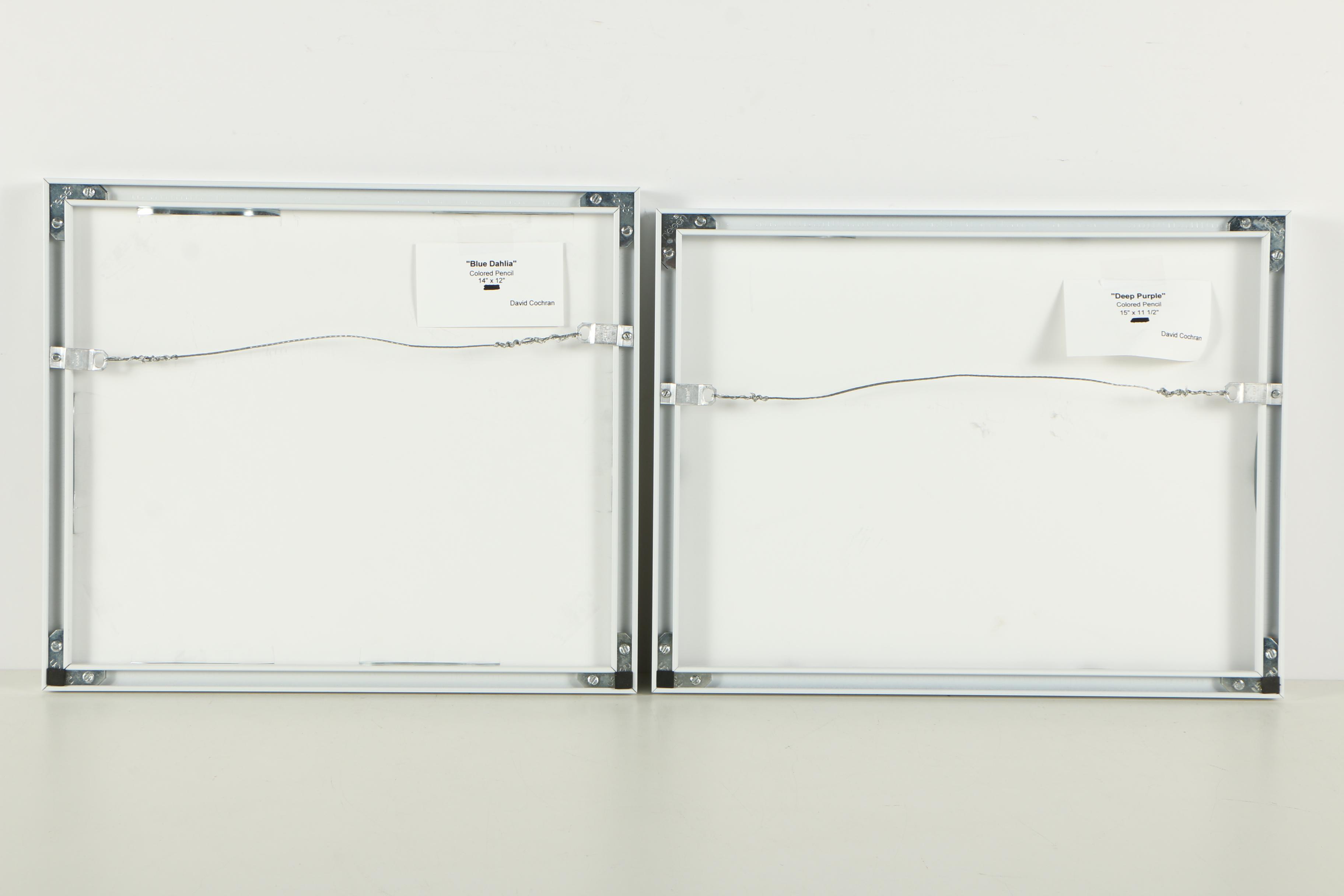 Pair of David Cochran Colored Pencil Drawings