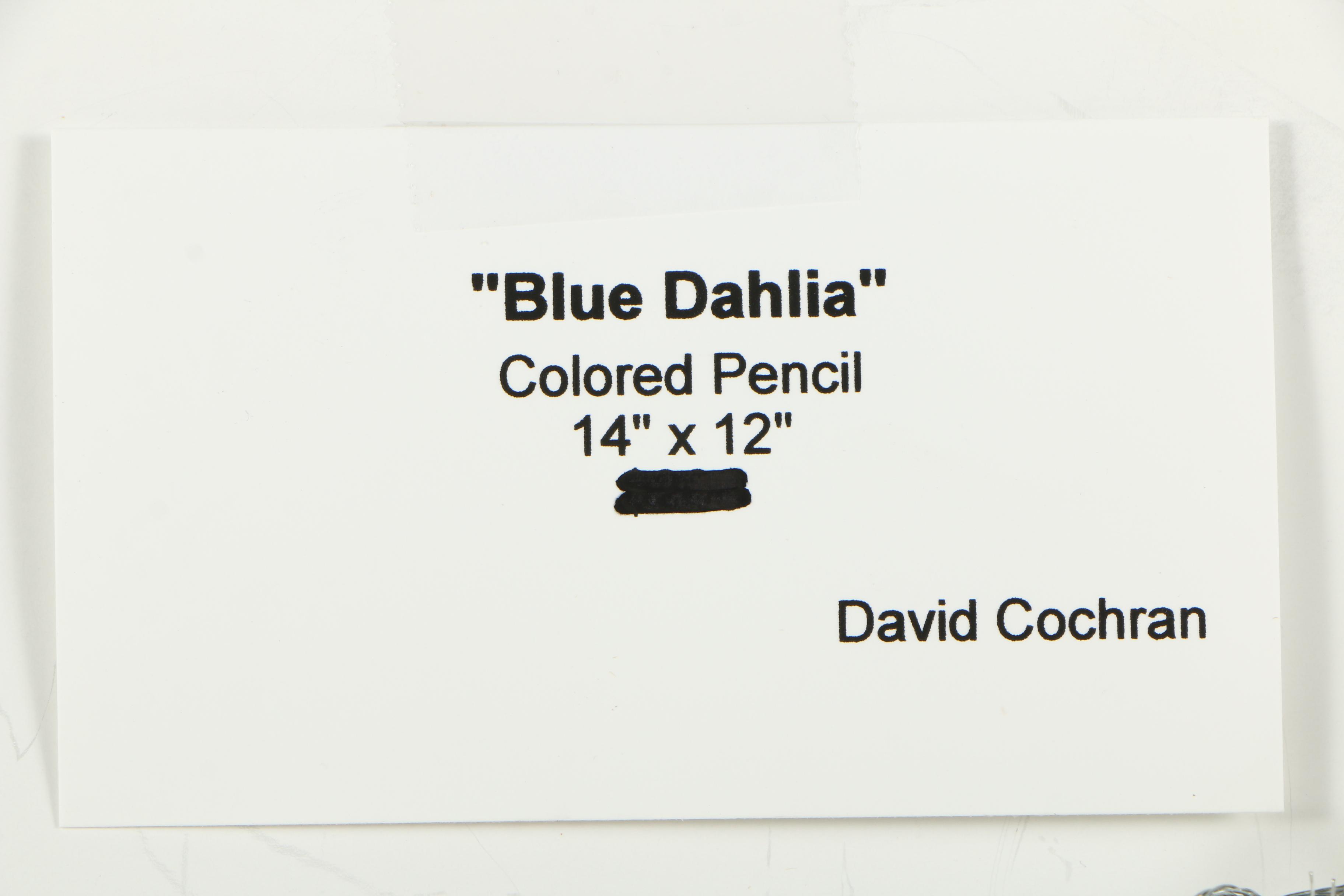 Pair of David Cochran Colored Pencil Drawings