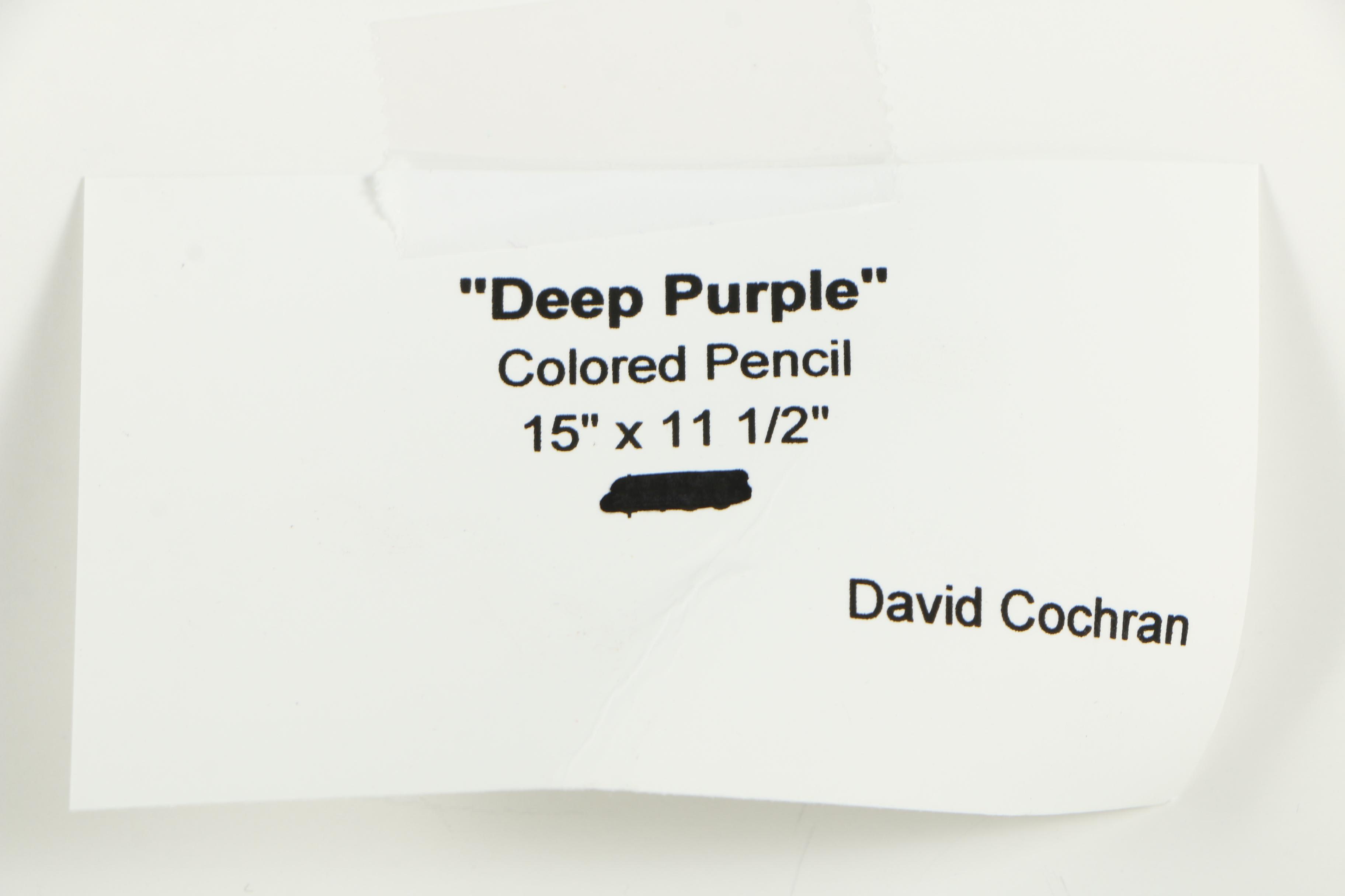 Pair of David Cochran Colored Pencil Drawings