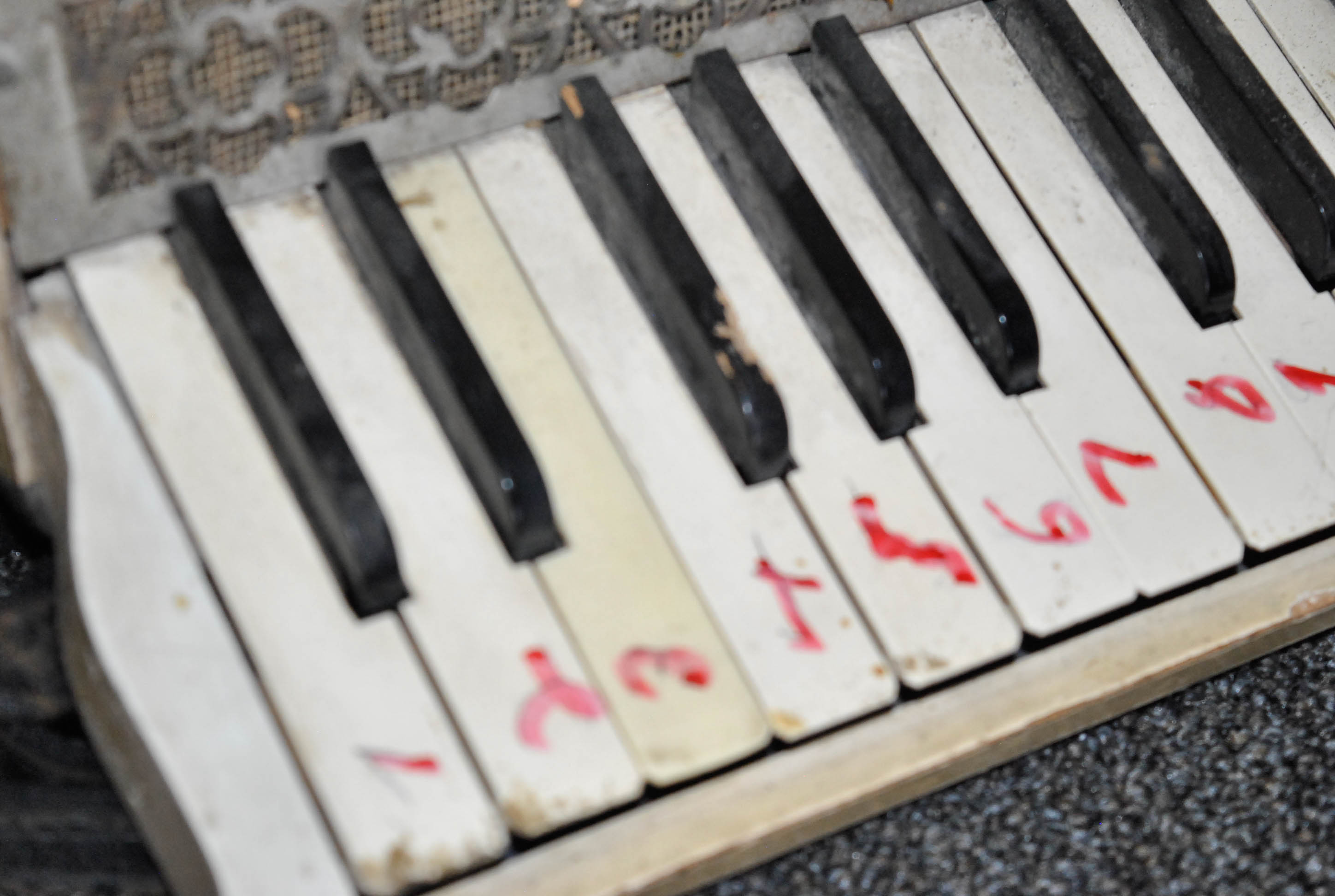 Vintage Hohner 12 Bass Piano Accordion