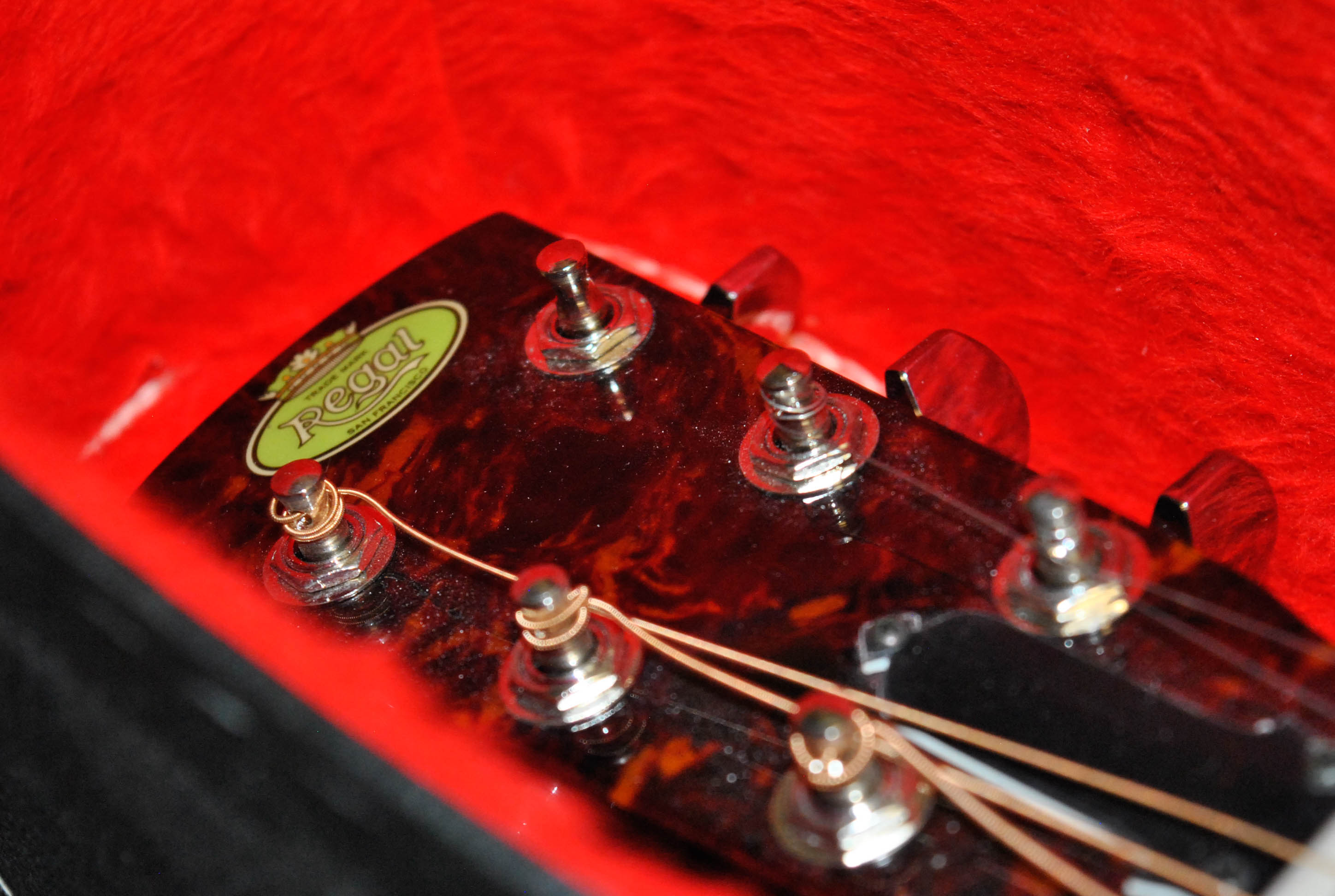 Regal Resonator Acoustic Guitar With Case