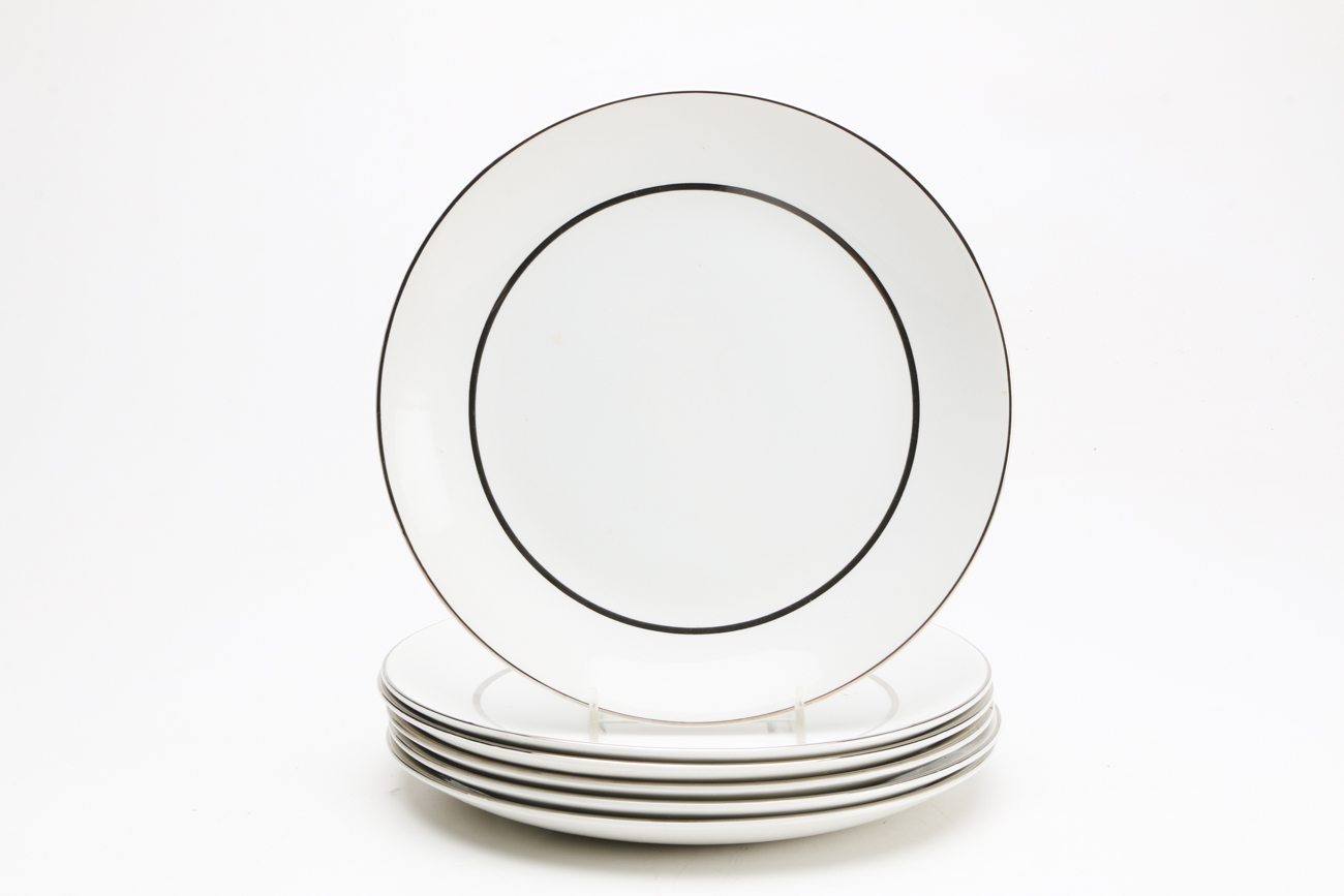 International Ironstone "Silver Elegance" Tableware