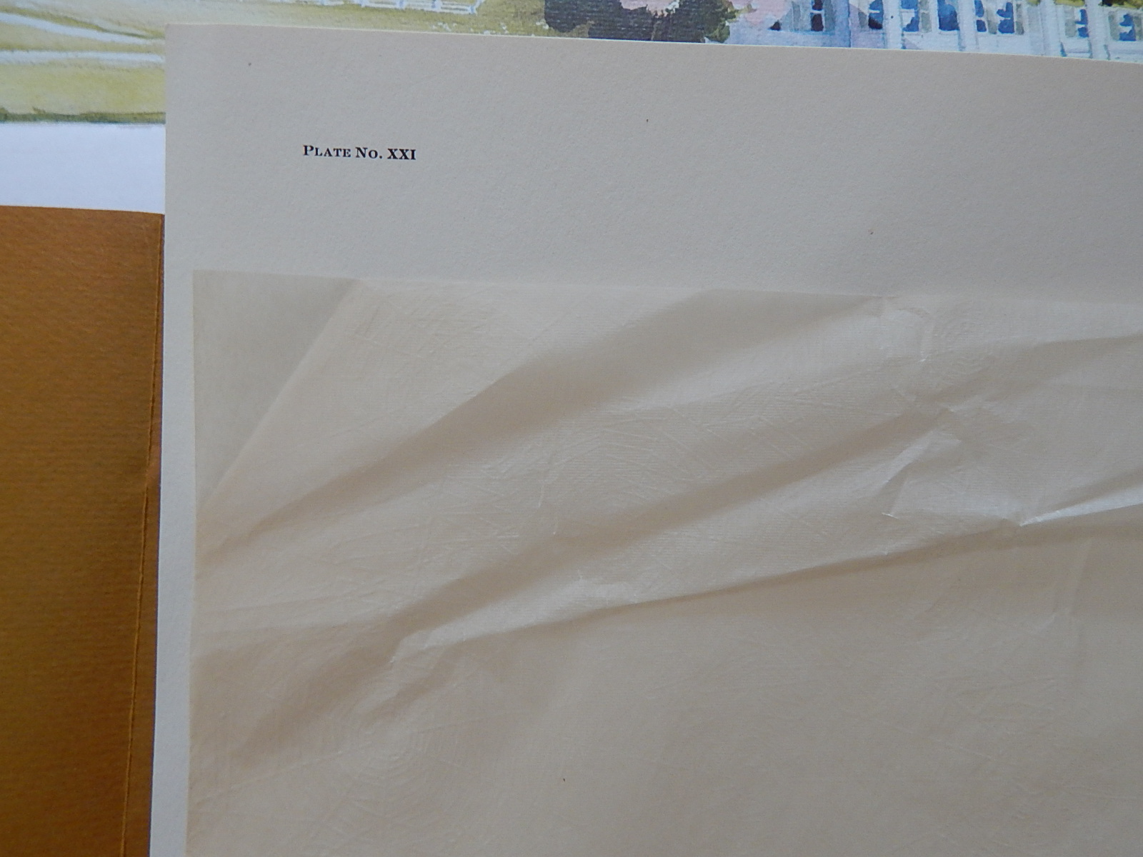 Unframed Guy Coheleach "Ivory-Billed Woodpecker" Offset Lithograph