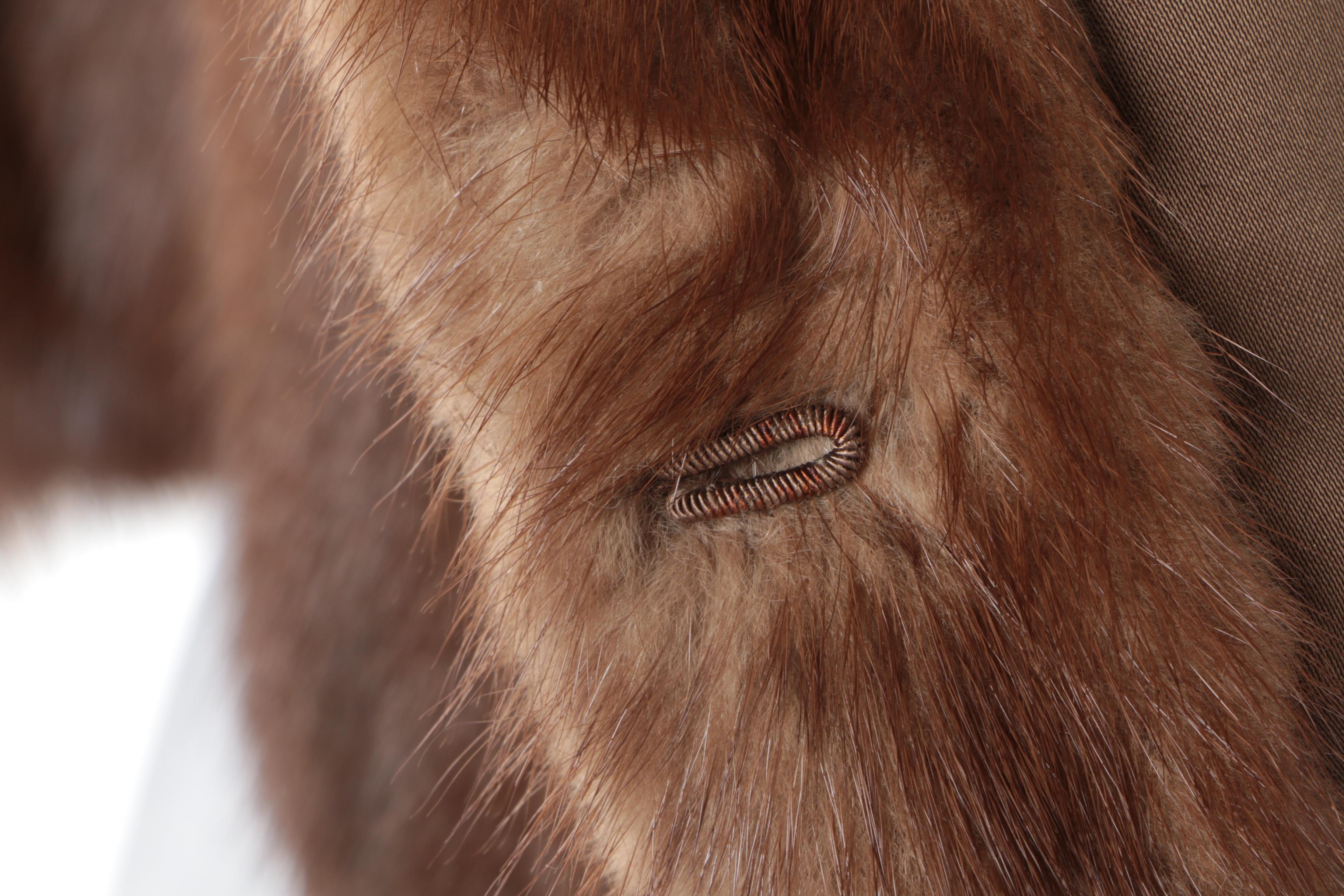 Women's Vintage Marshall Field & Company Brown Mink Fur Stole