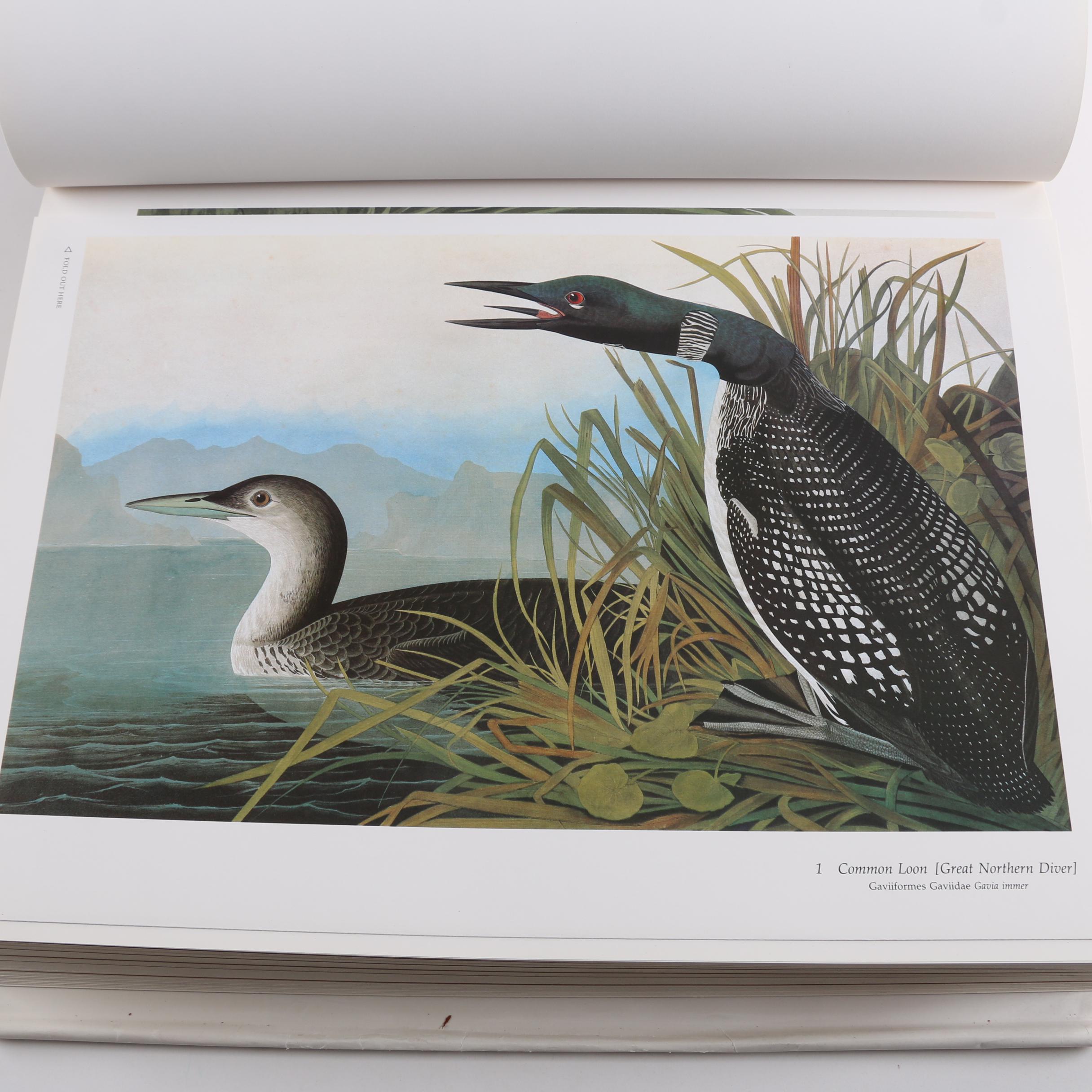 1981 "Audubon's Birds of America" Baby Elephant Folio by the Petersons