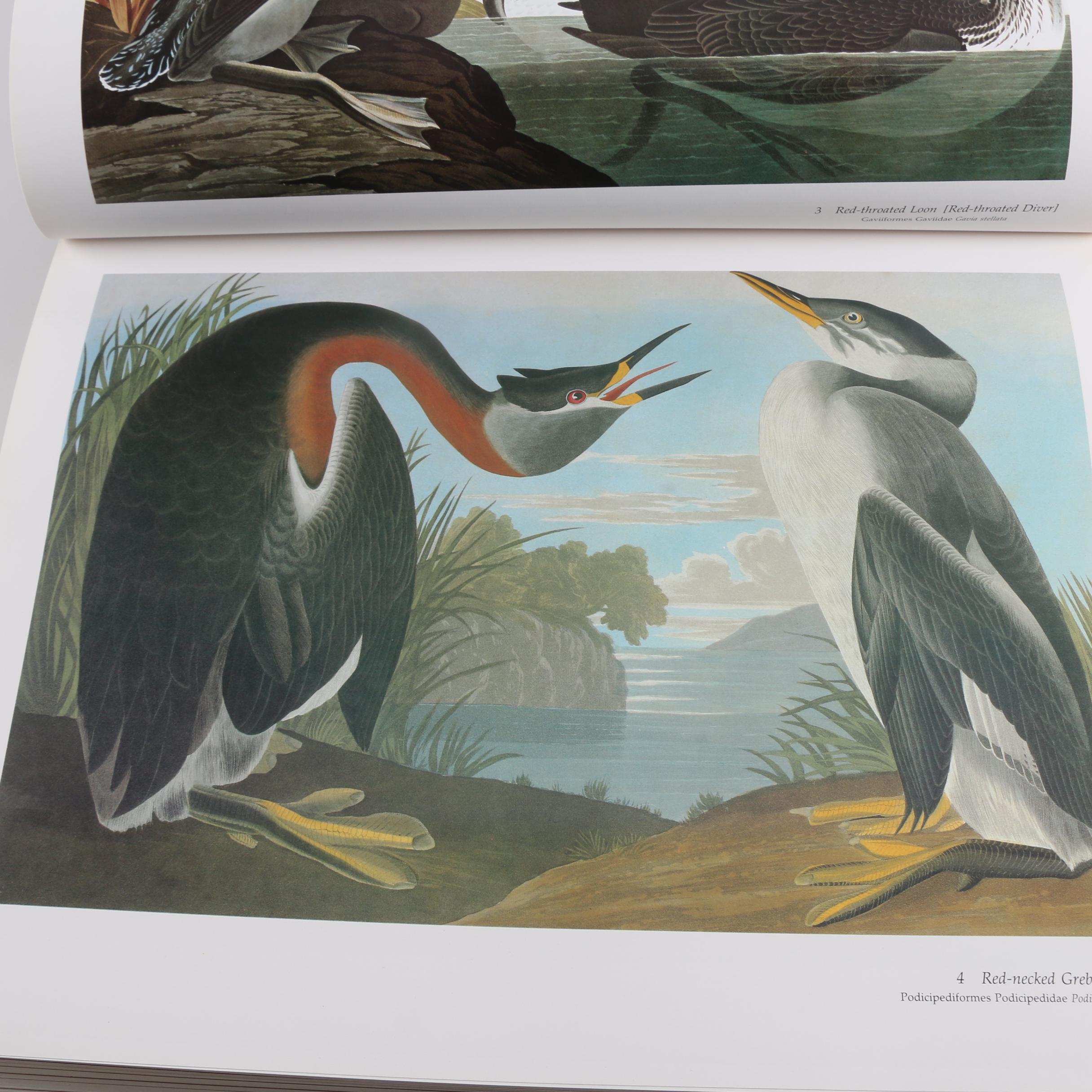 1981 "Audubon's Birds of America" Baby Elephant Folio by the Petersons