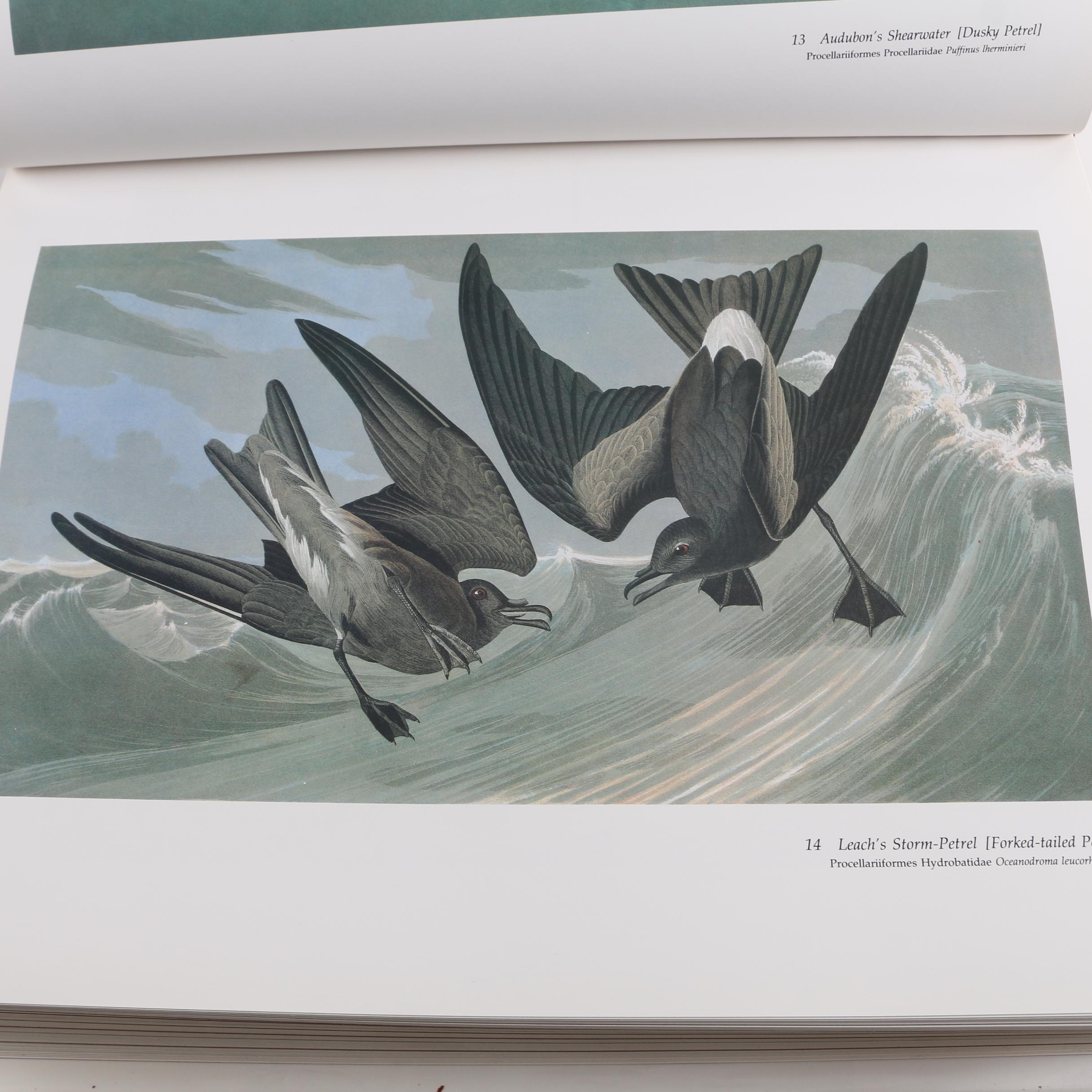 1981 "Audubon's Birds of America" Baby Elephant Folio by the Petersons