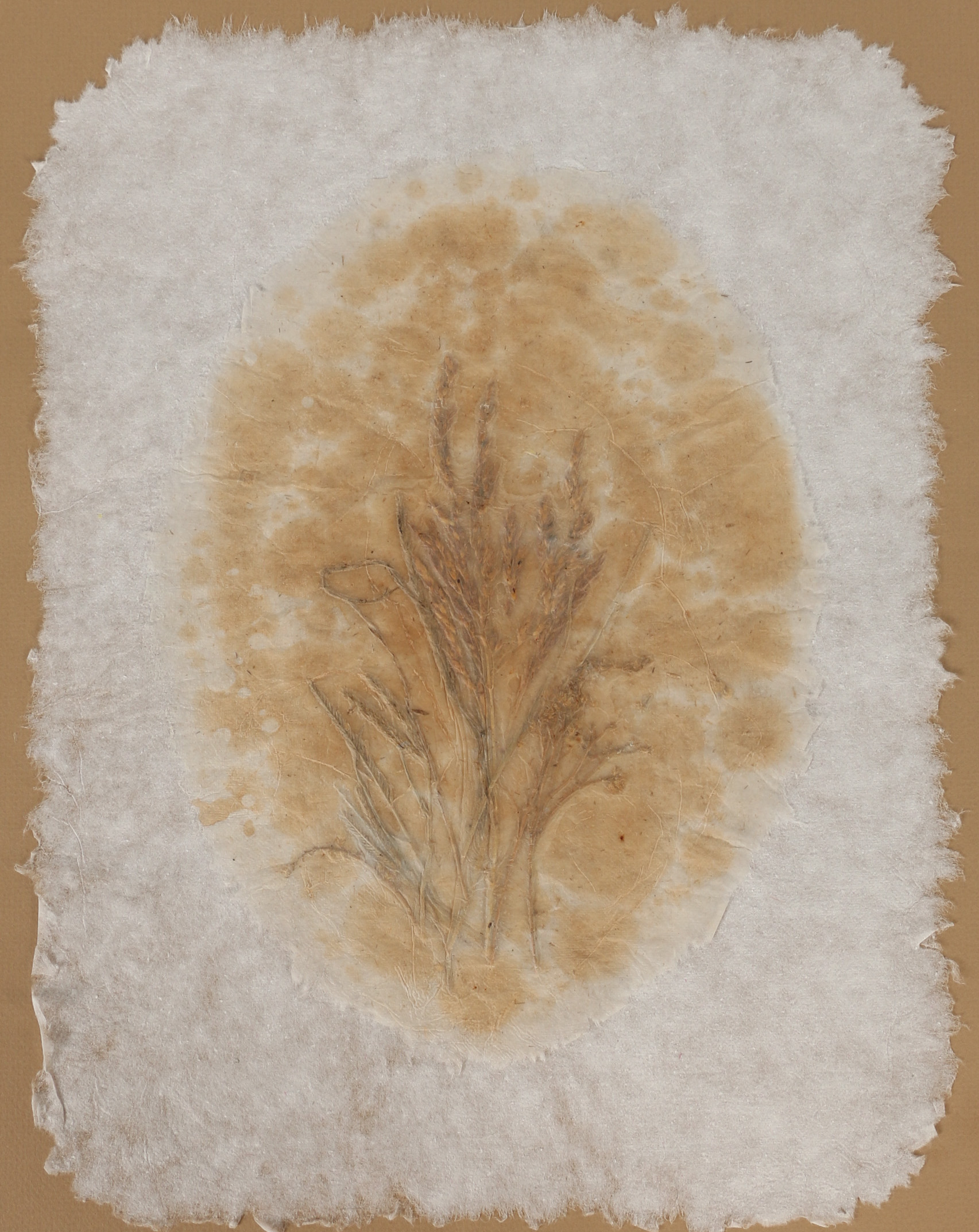 Ruth Rolfsen Pressed Flower Compositions