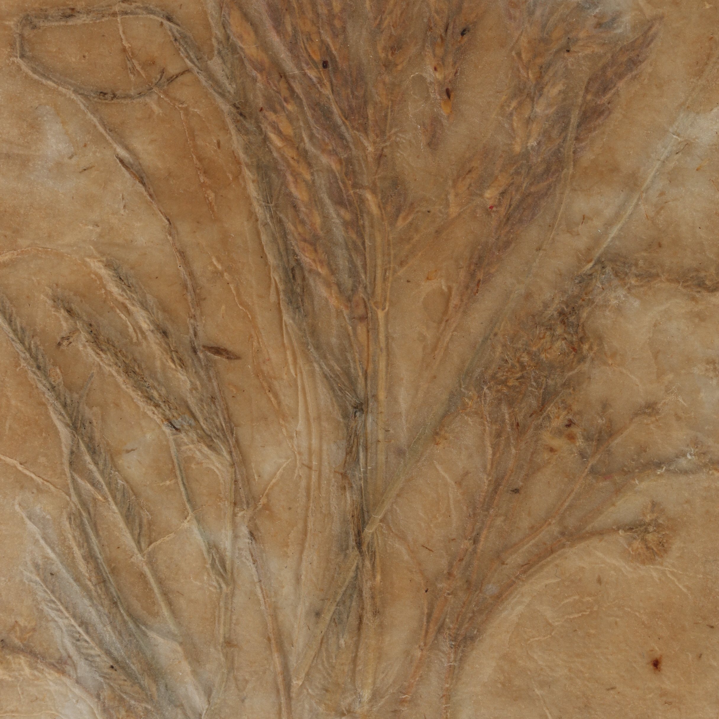 Ruth Rolfsen Pressed Flower Compositions