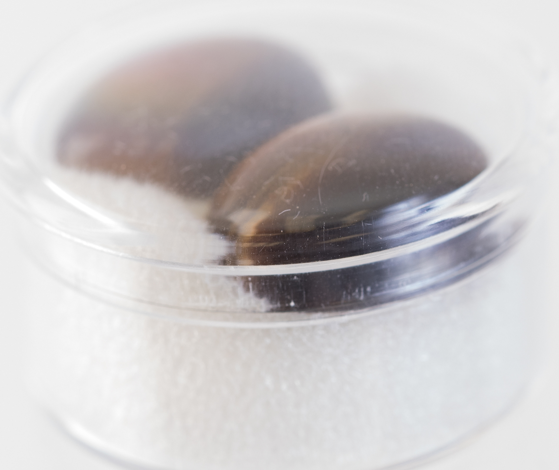 Matched 22.66 CTW Tiger's Eye Cabochon Gemstones