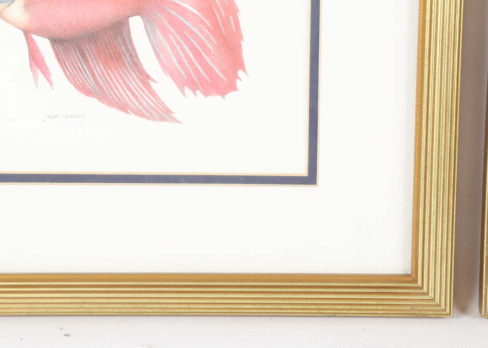 Offset Lithographs of Betta Fish After Jean Cassady