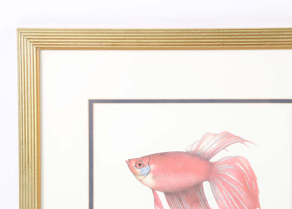 Offset Lithographs of Betta Fish After Jean Cassady