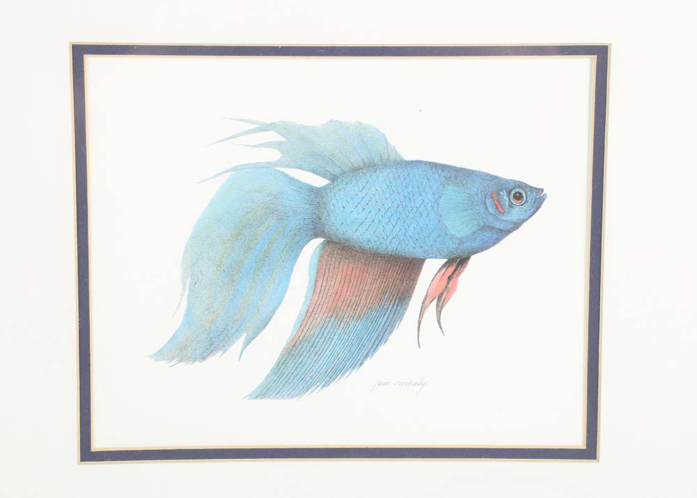 Offset Lithographs of Betta Fish After Jean Cassady