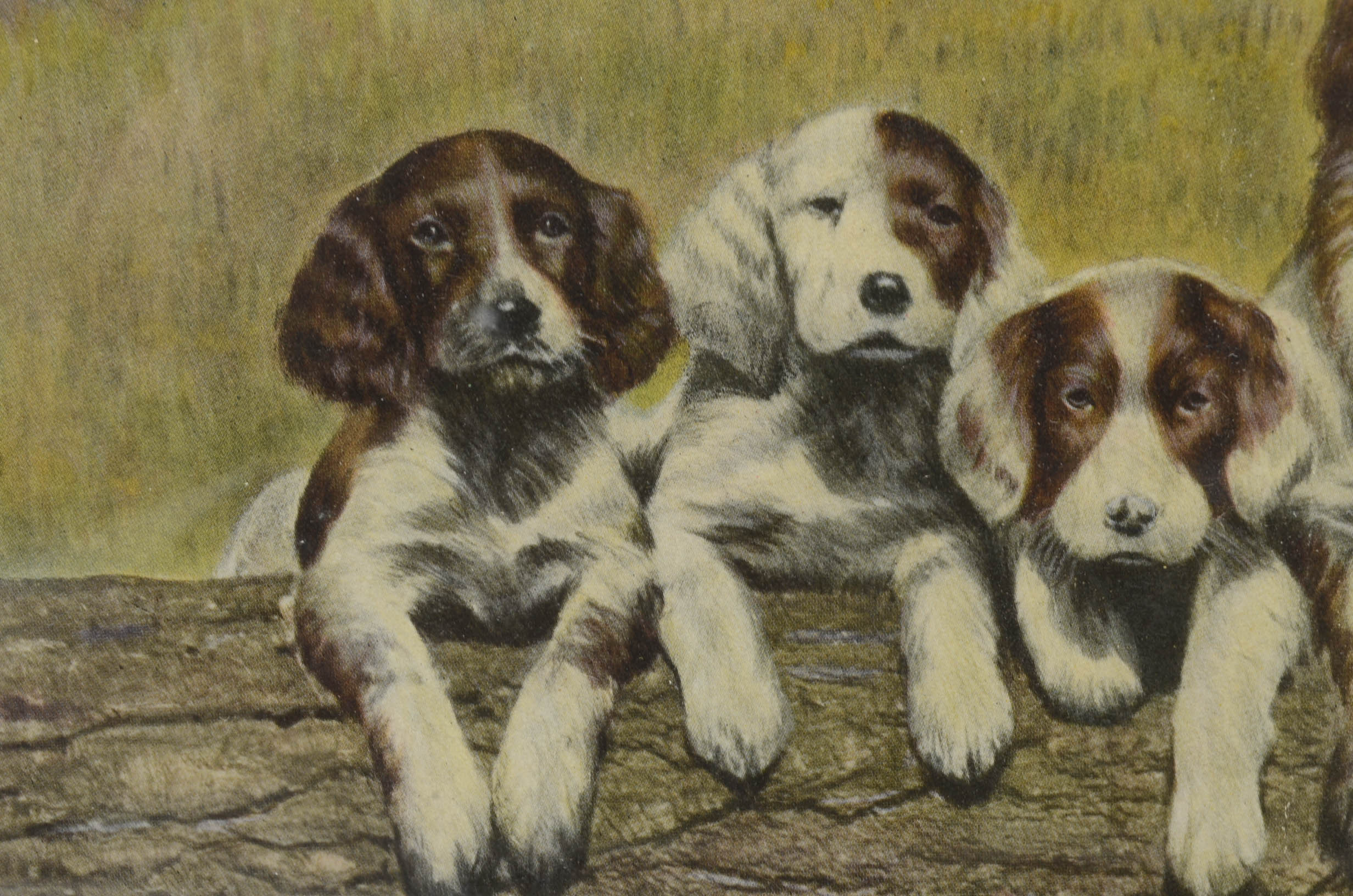 Vintage Offset Lithograph Print "The Gang's All Here"