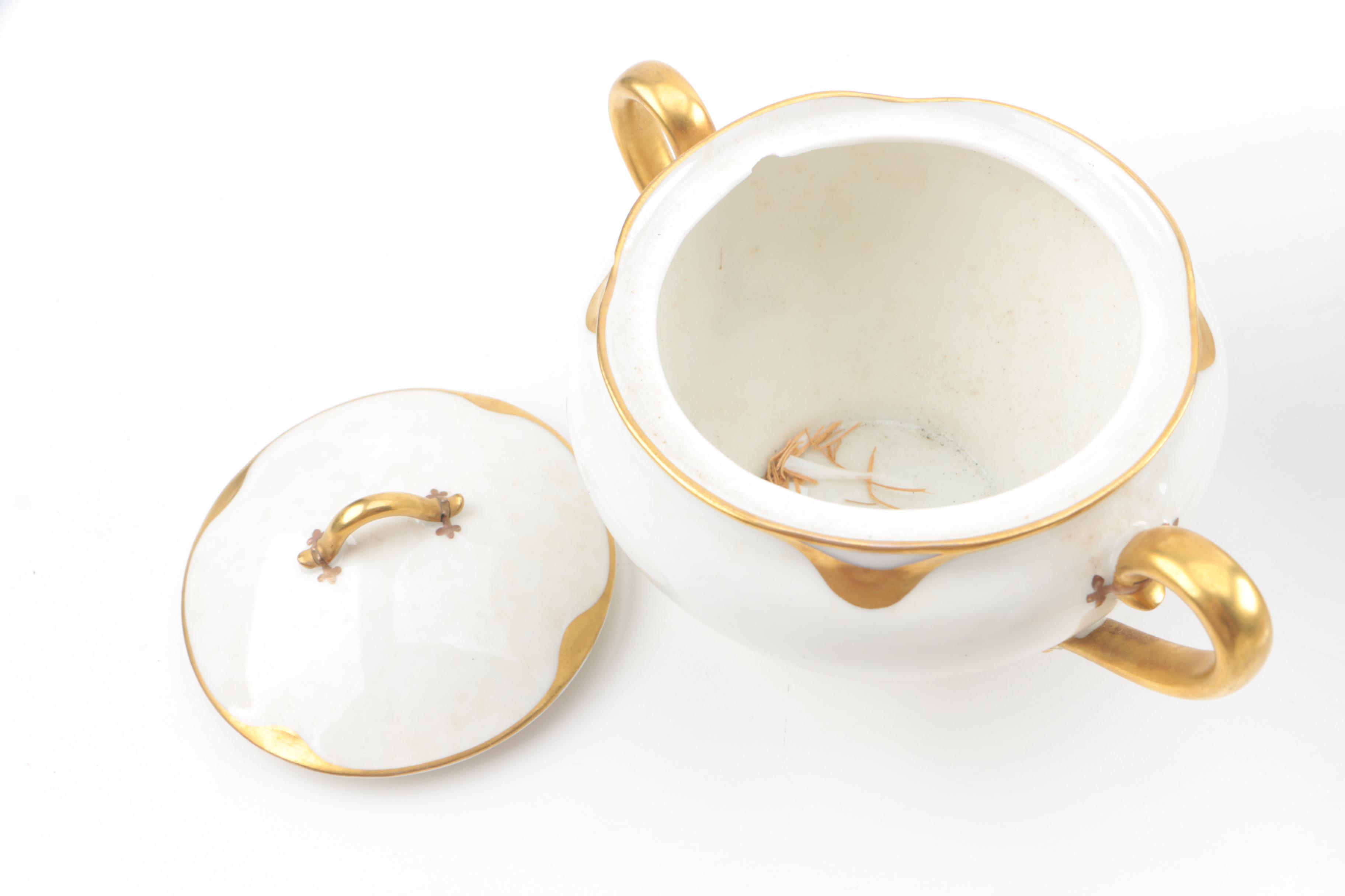 Vintage Haviland Limoges "Silver Anniversary" Porcelain Tea Service