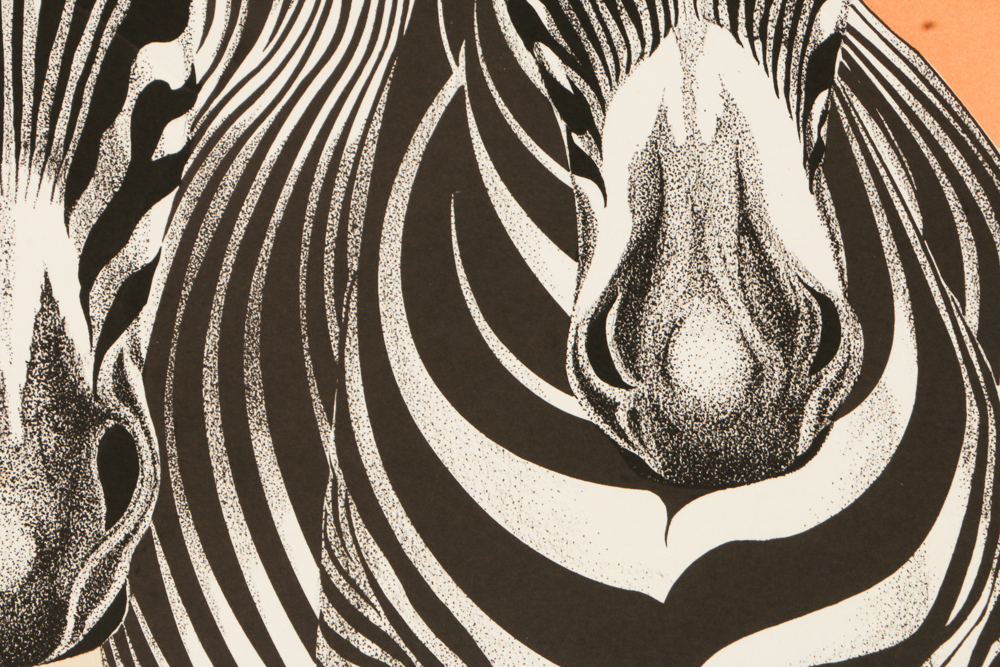 Signed Limited Edition Lithograph "Grevy's Zebra"