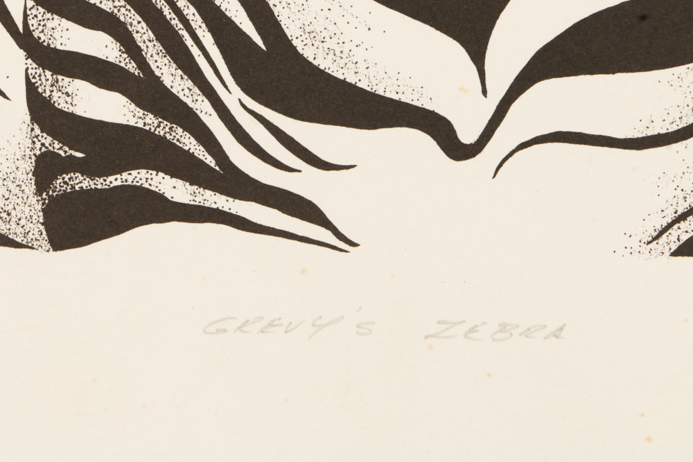 Signed Limited Edition Lithograph "Grevy's Zebra"