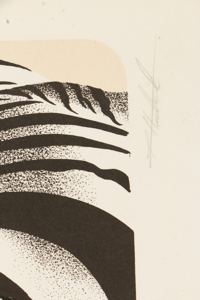 Signed Limited Edition Lithograph "Grevy's Zebra"