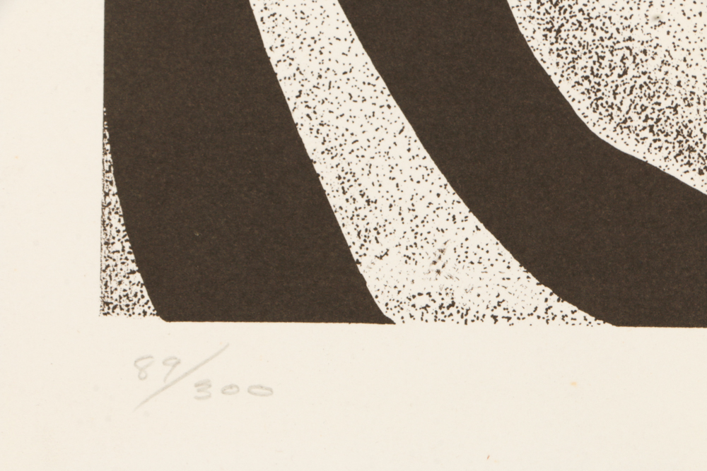 Signed Limited Edition Lithograph "Grevy's Zebra"