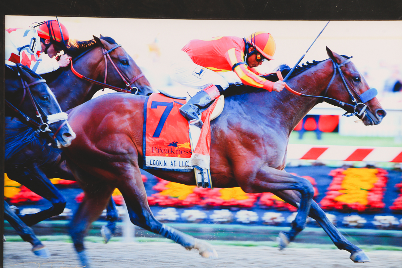 Two Ted Tarquinio Signed Limited Edition Photographic Prints of Race Horses