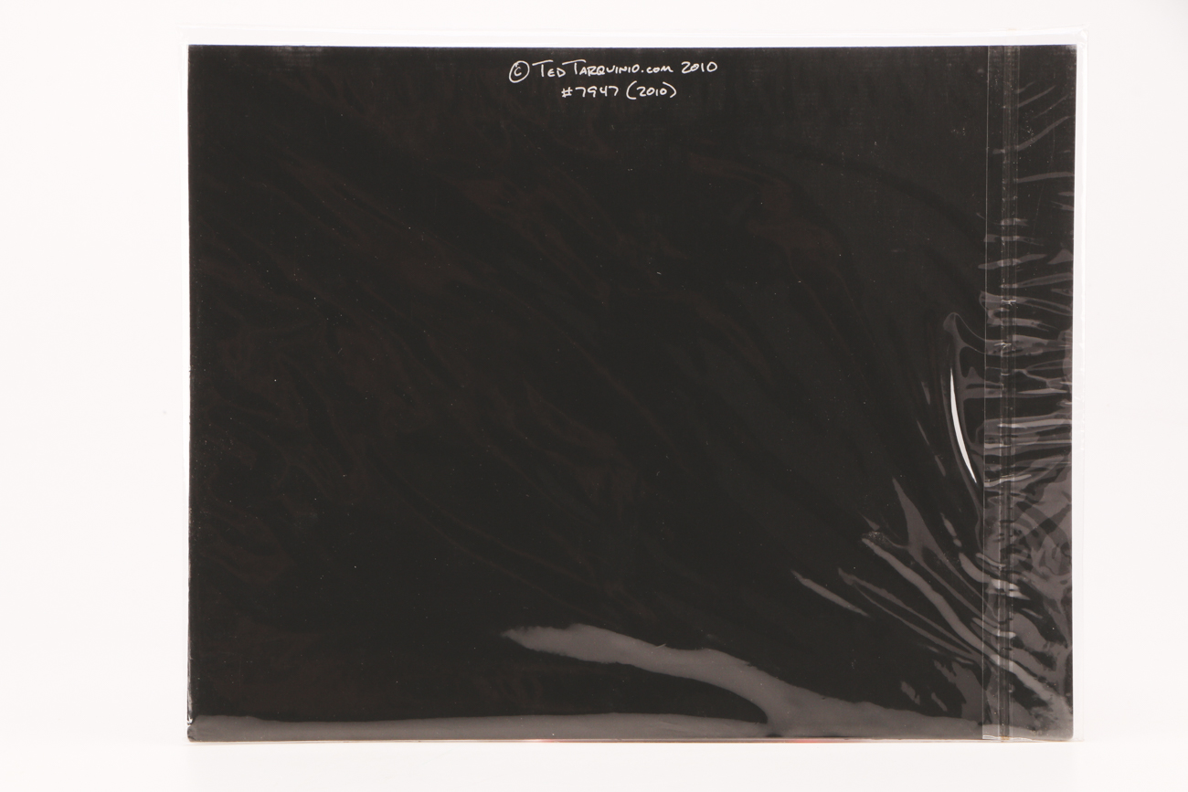 Two Ted Tarquinio Signed Limited Edition Photographic Prints of Race Horses