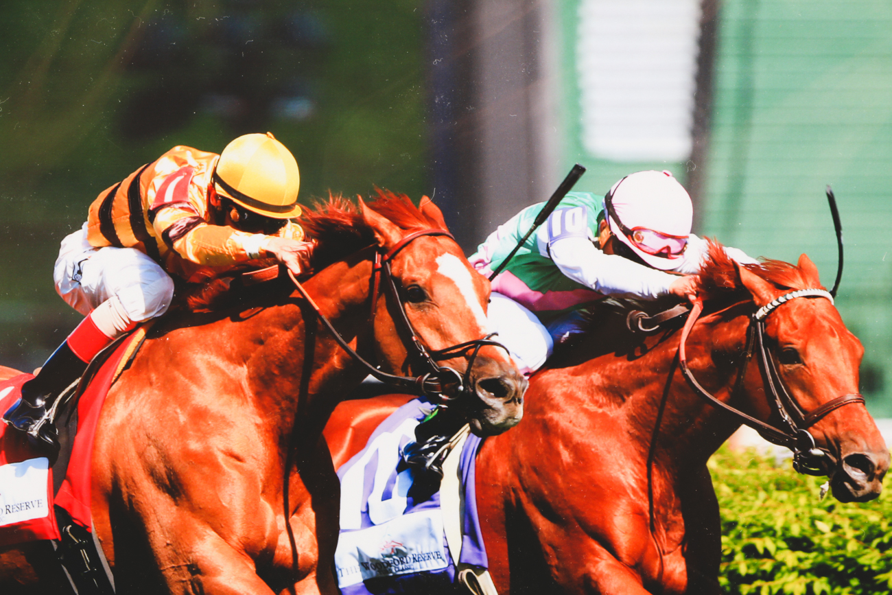 Two Ted Tarquinio Signed Limited Edition Photographic Prints of Race Horses