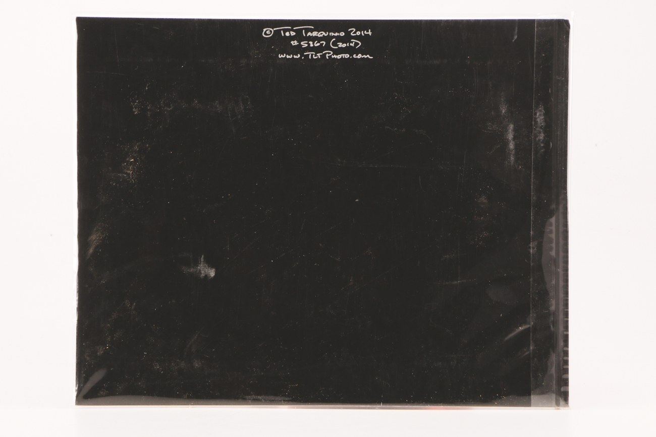 Two Ted Tarquinio Signed Limited Edition Photographic Prints of Race Horses