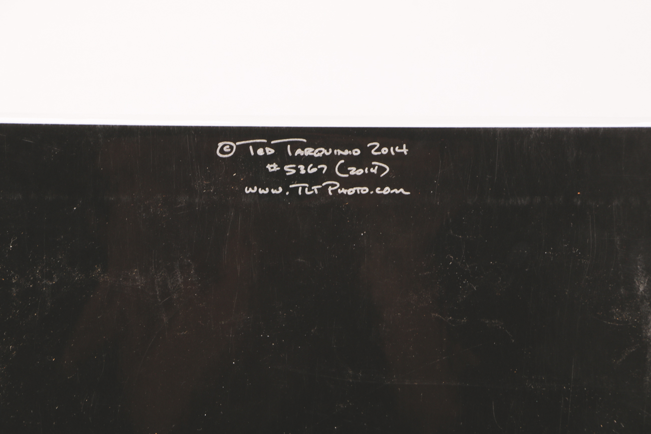 Two Ted Tarquinio Signed Limited Edition Photographic Prints of Race Horses