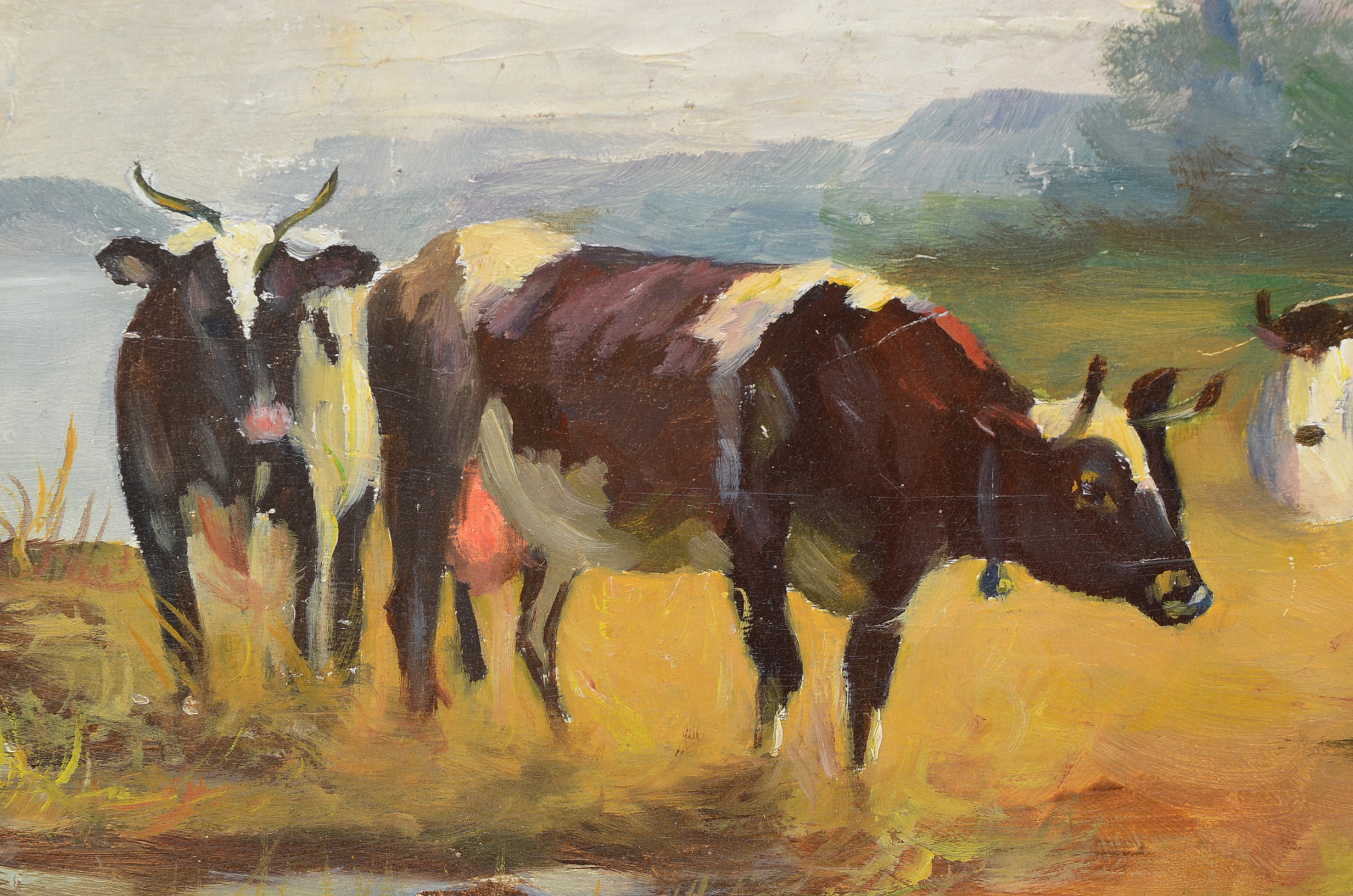 Signed Oil Painting on Board of Pastoral Scene with Cows
