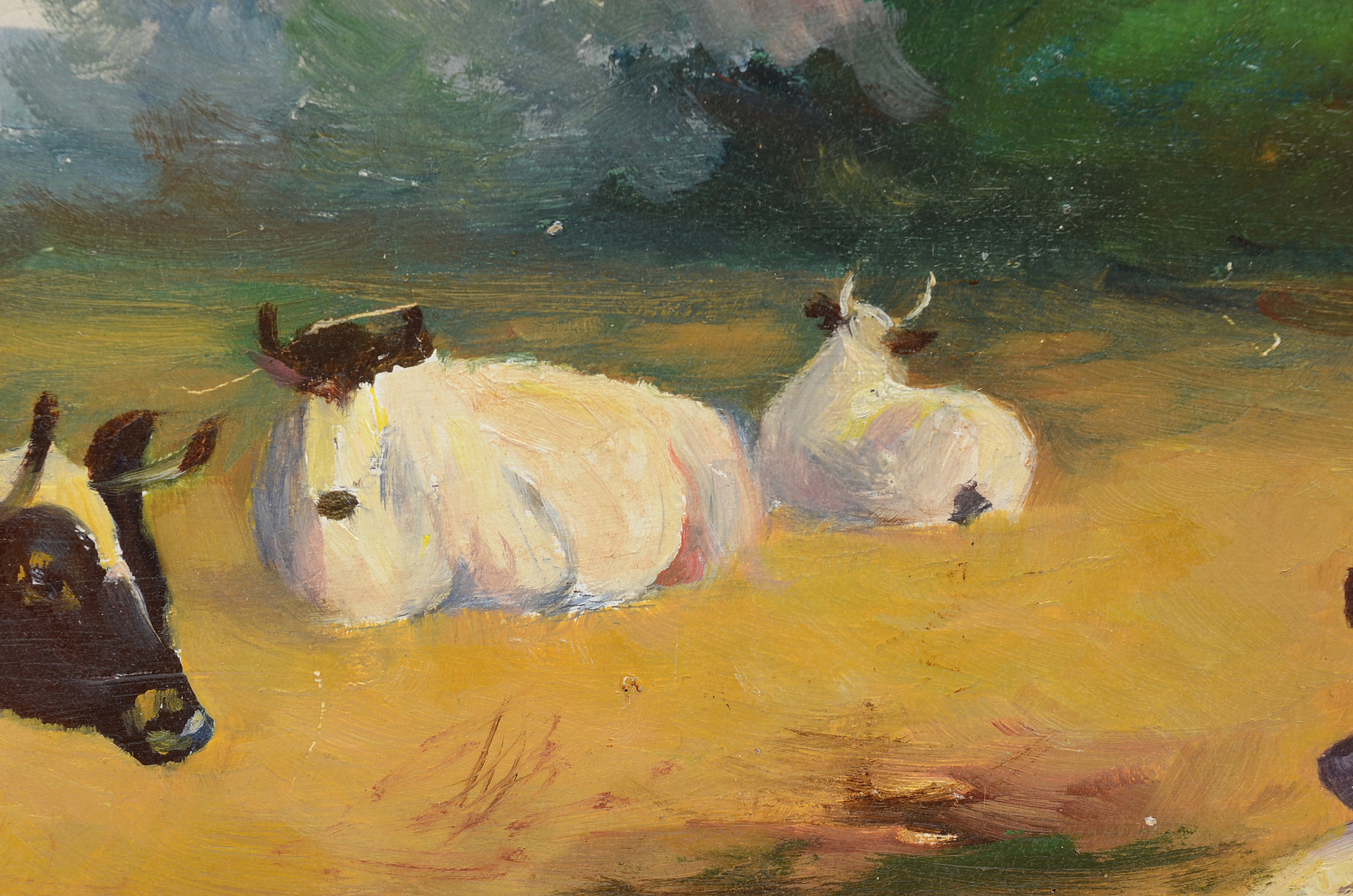 Signed Oil Painting on Board of Pastoral Scene with Cows