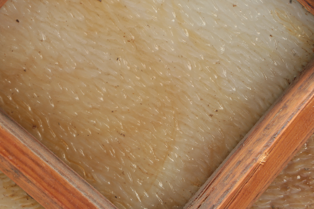 Handmade Stained Glass Window in Custom Wood Frame