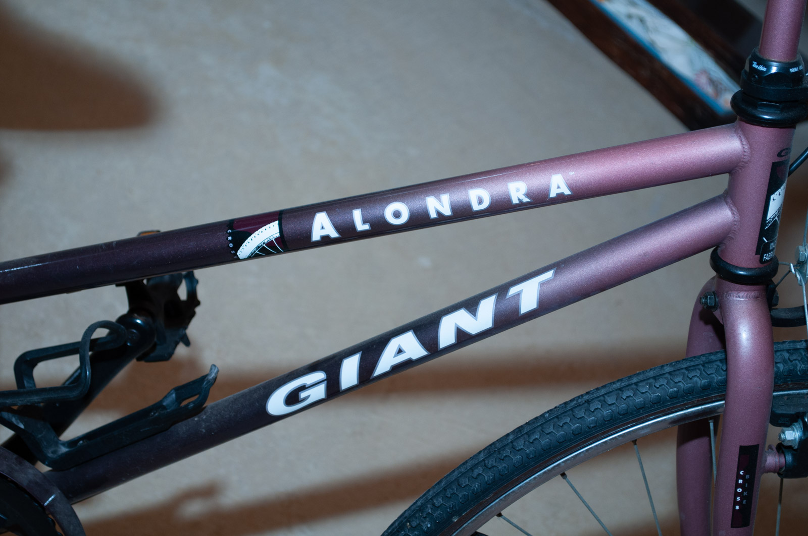 Giant Women's "Alondra" Cross Bike