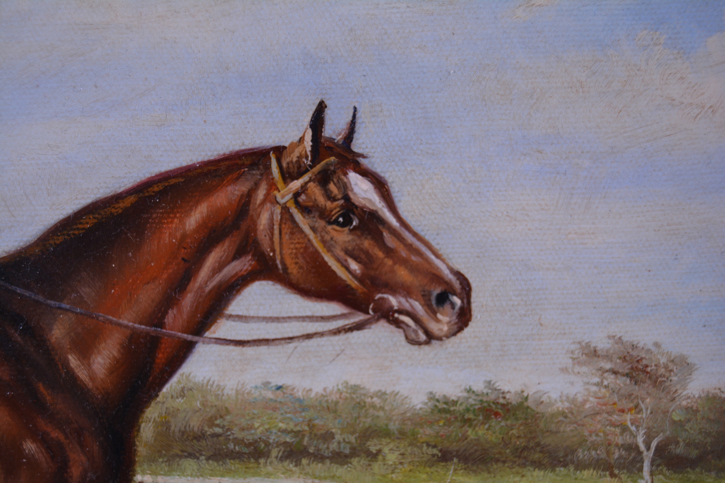 Shipley Oil Painting of Horse and Jockey