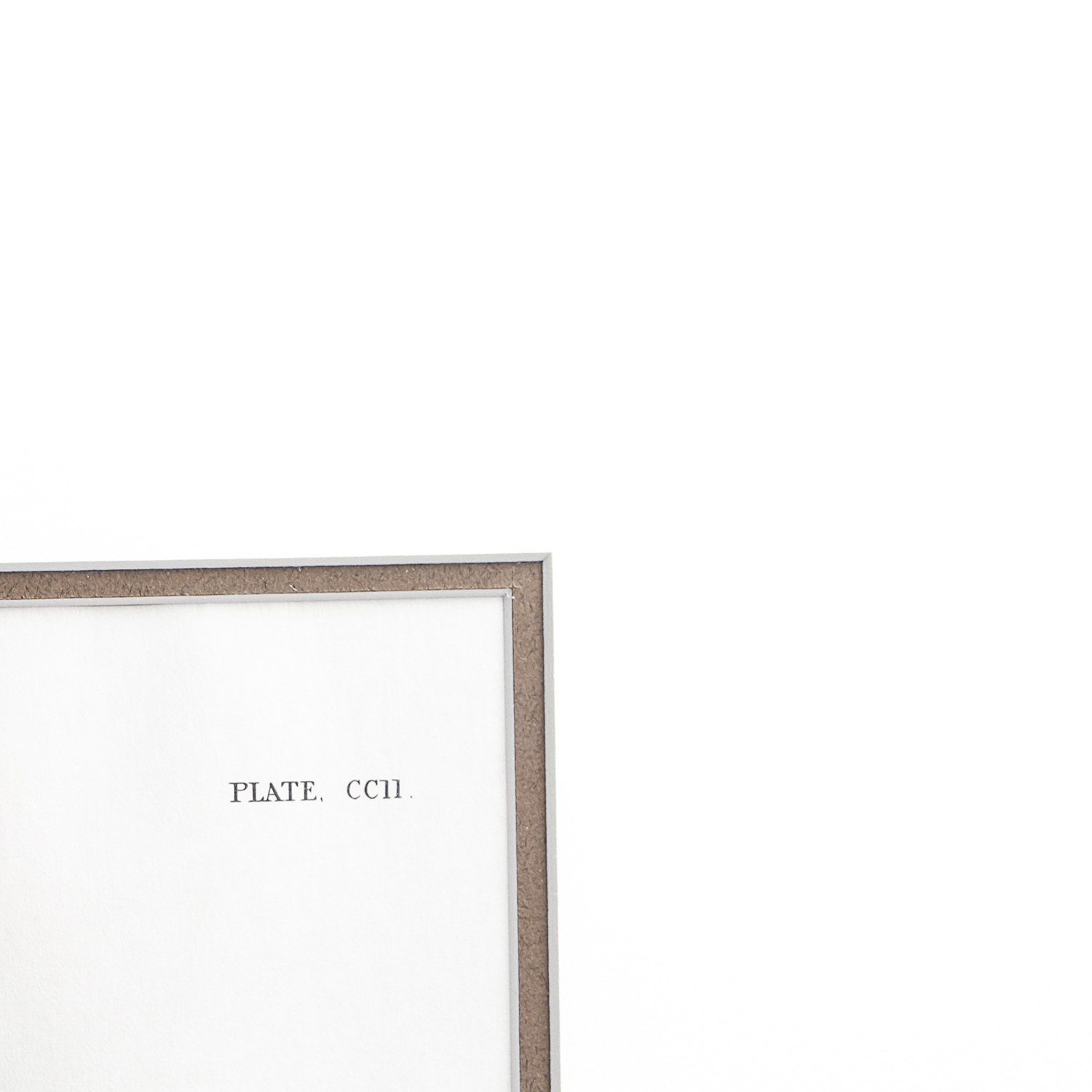 After J.J. Audobon Offset Lithograph "Red-throated Diver"