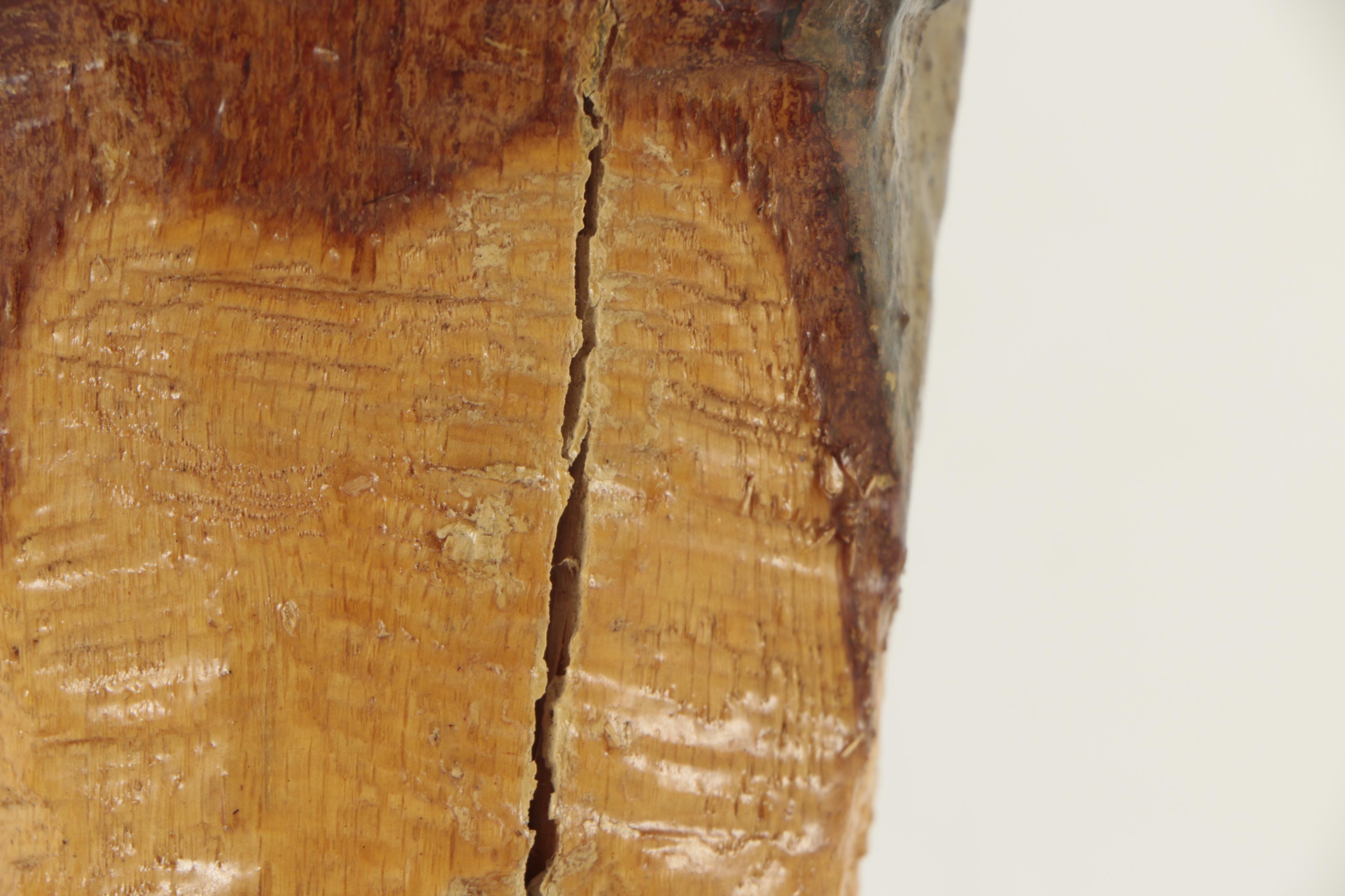 Joe Salyers Chainsaw Carved and Painted Oak Sculpture